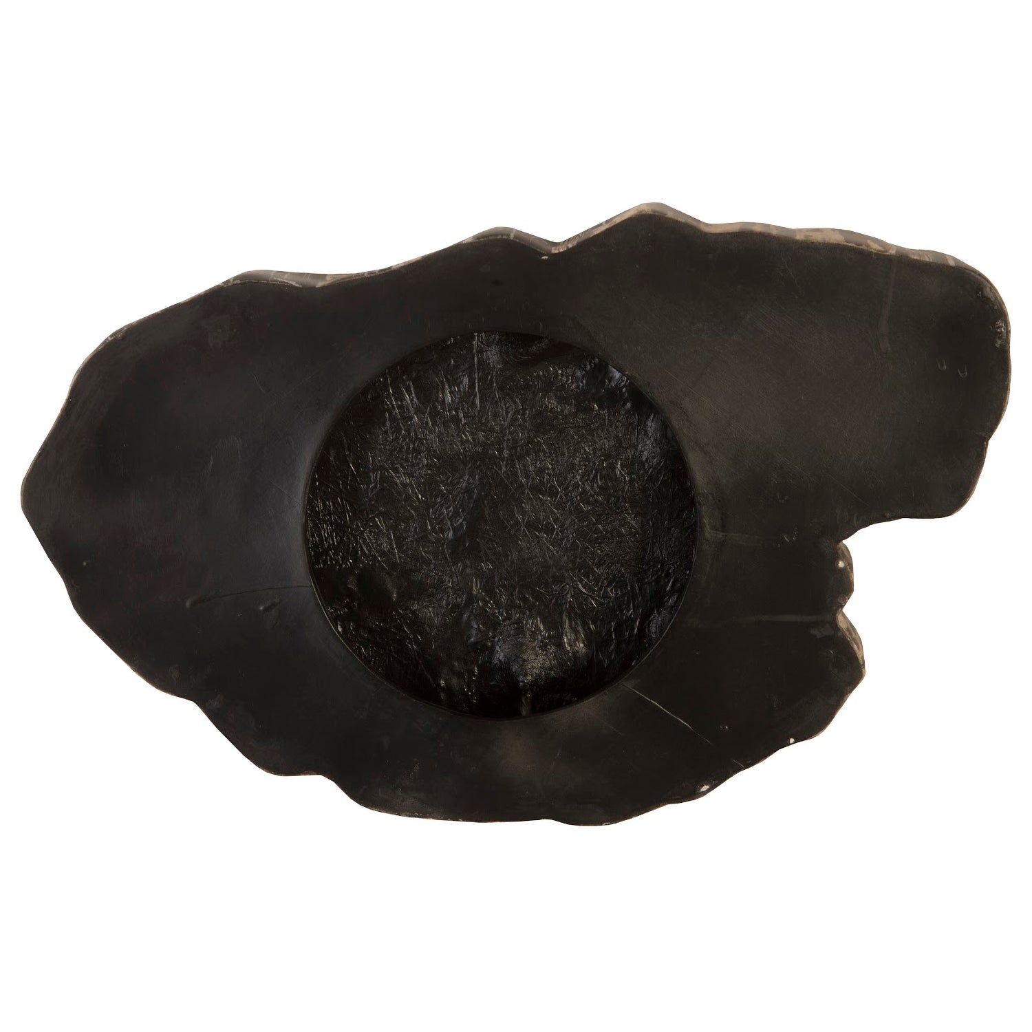 Phillips Collection Brown Cast Petrified Wood Wall Tile