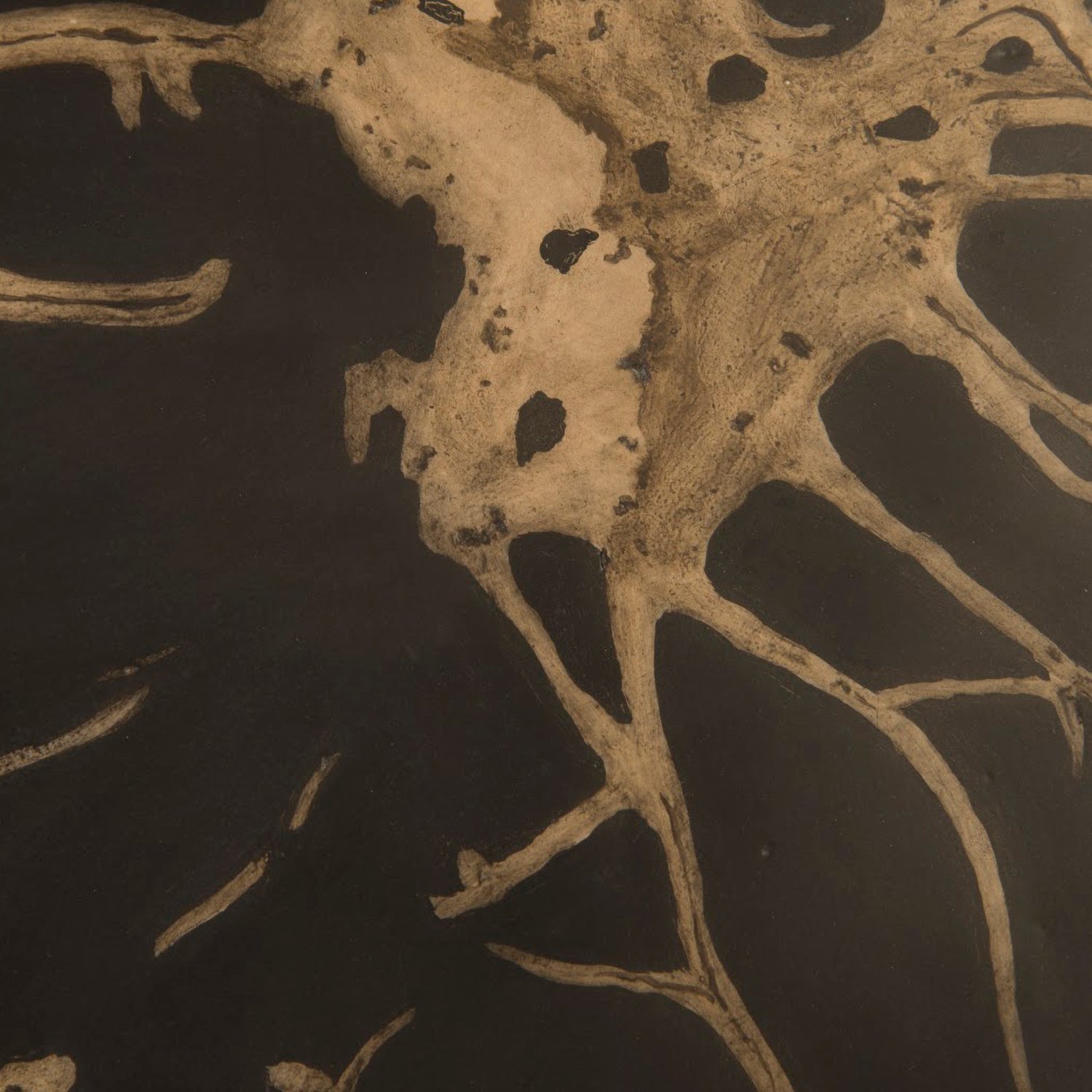 Phillips Collection Brown Cast Petrified Wood Wall Tile