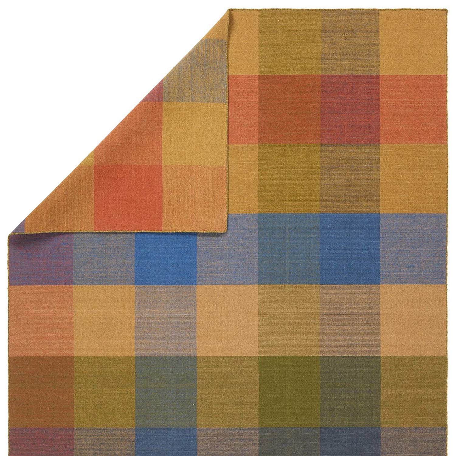 Jaipur Living Pleda Scenic Handwoven Rug