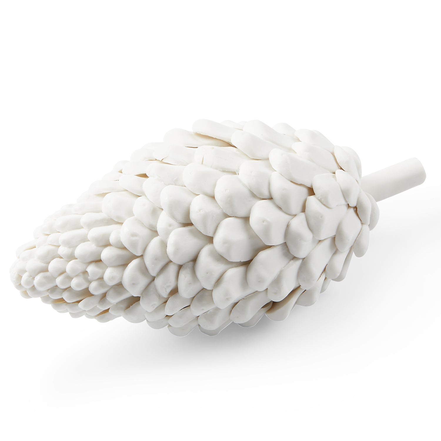 Villa and House Laying Pine Cone