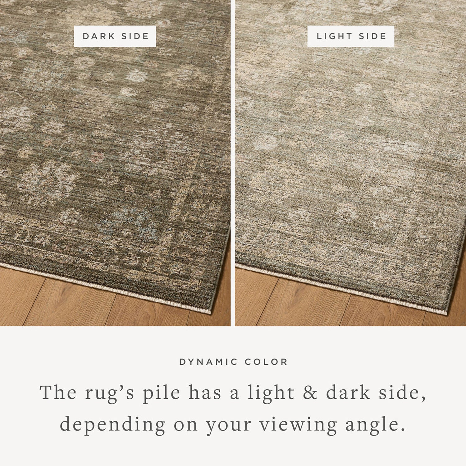 Loloi Priscilla Olive/Sand Power Loomed Rug