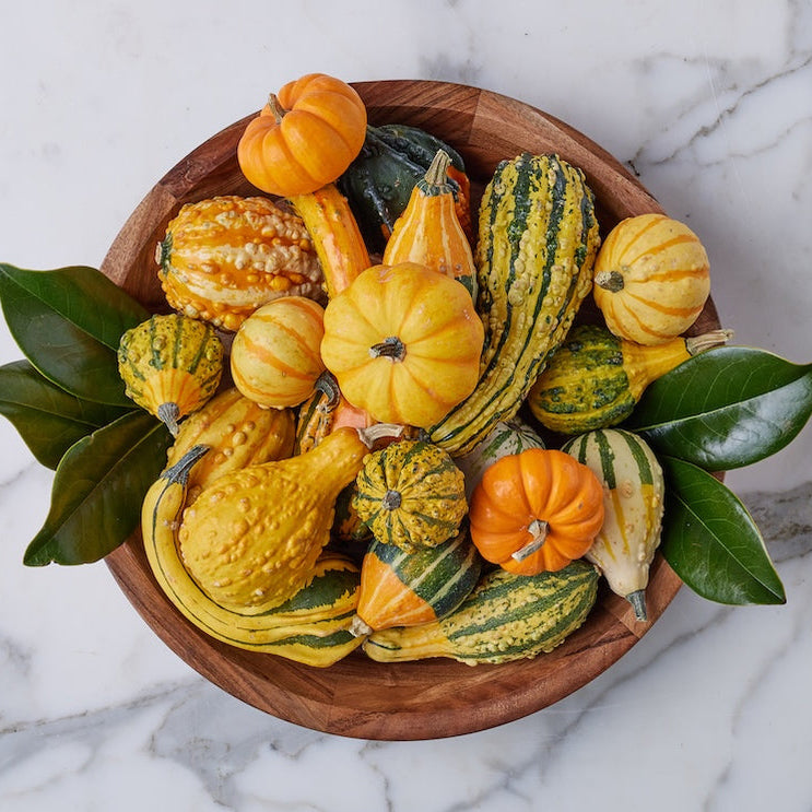 Etu Home Couscous Bowl - Final Sale