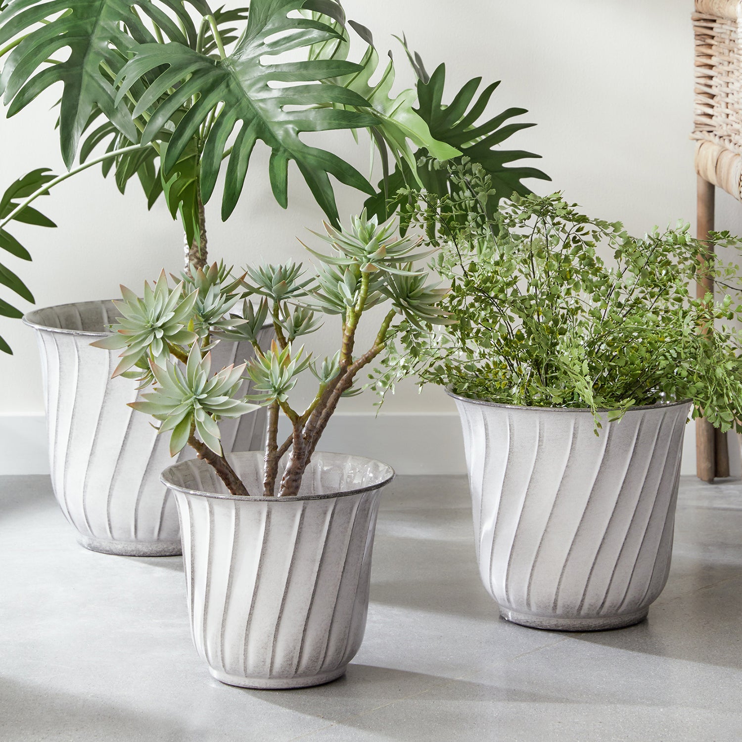 Leilani Pot Set of 3