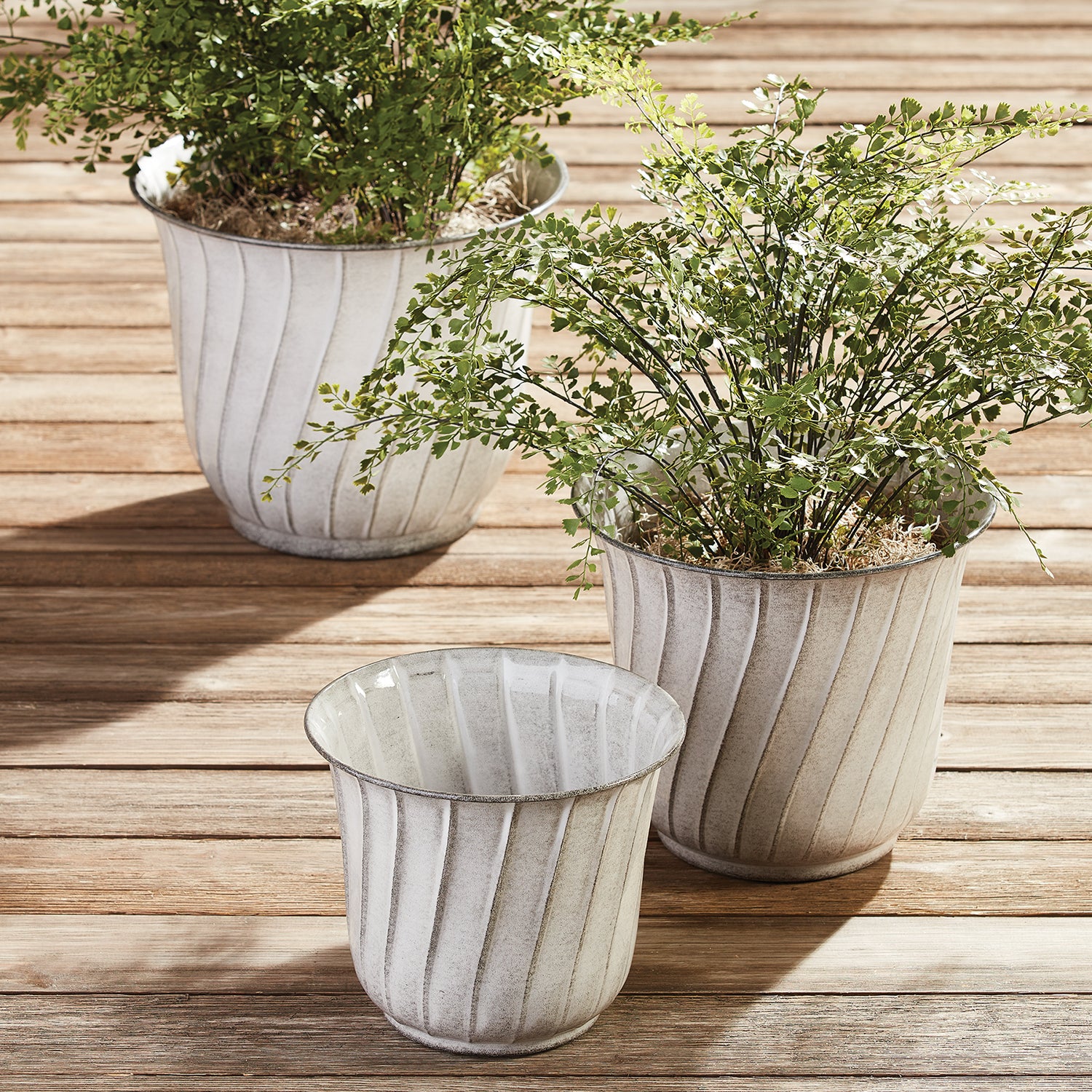 Leilani Pot Set of 3