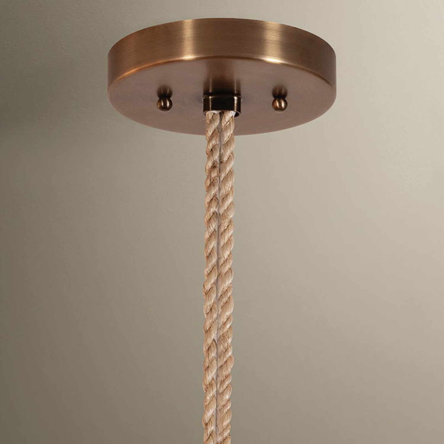 Troy Lighting Redwood Pendant