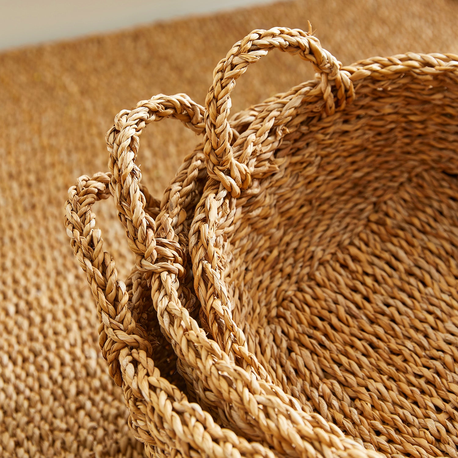 Seagrass Shallow Handle Basket Set of 3