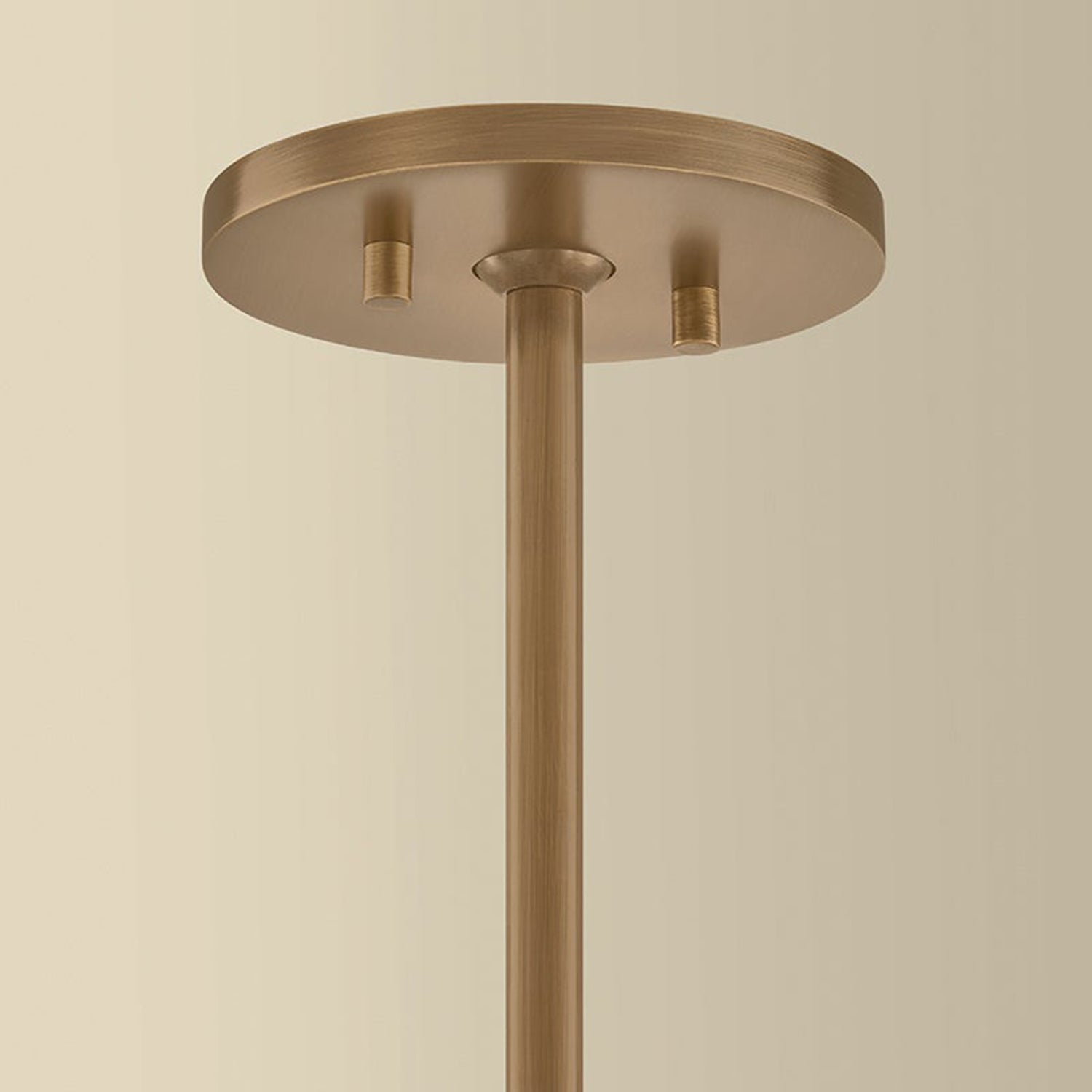 Troy Lighting Stoney Pendant