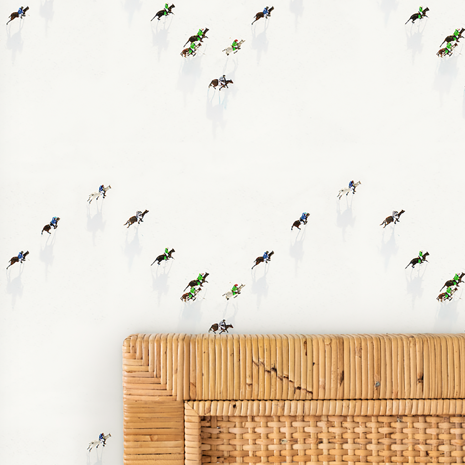 Mitchell Black x Gray Malin Snow Polo Wallpaper