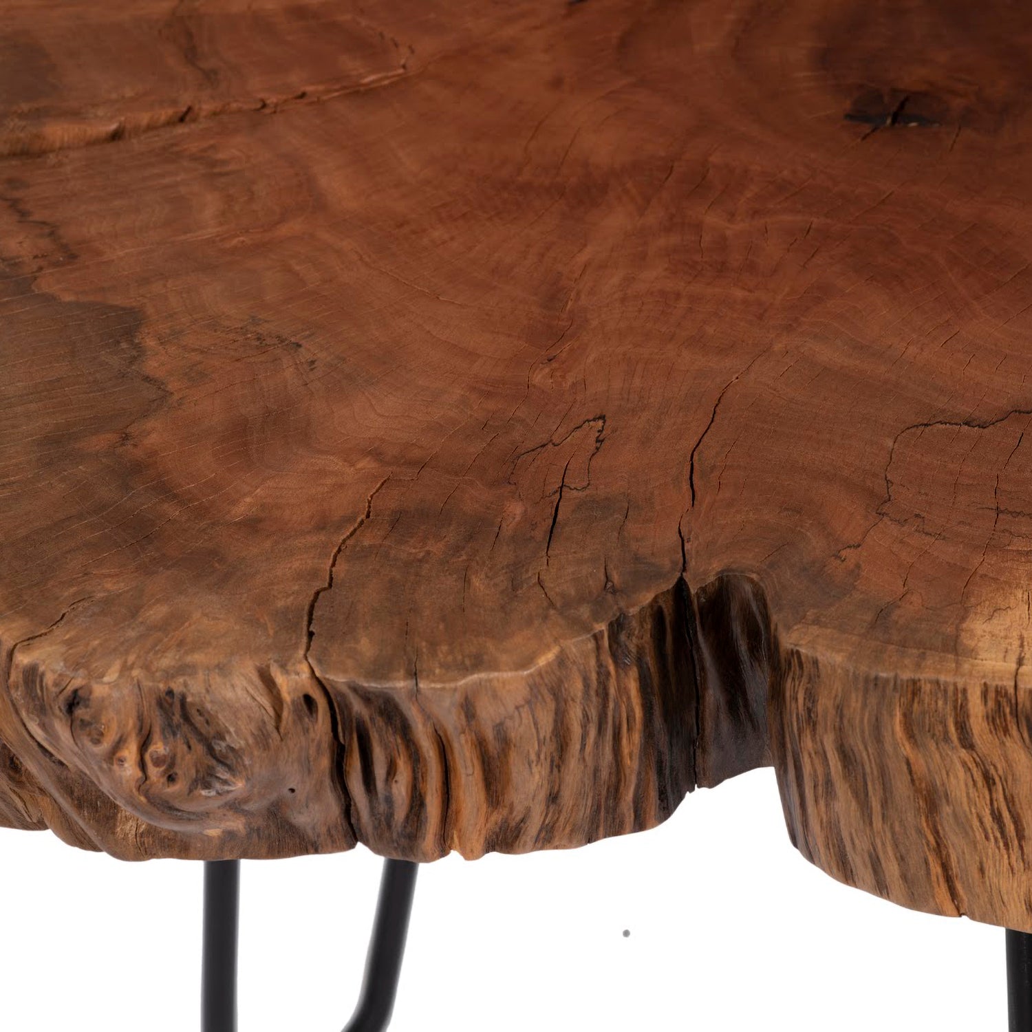 Phillips Collection Burled Coffee Table