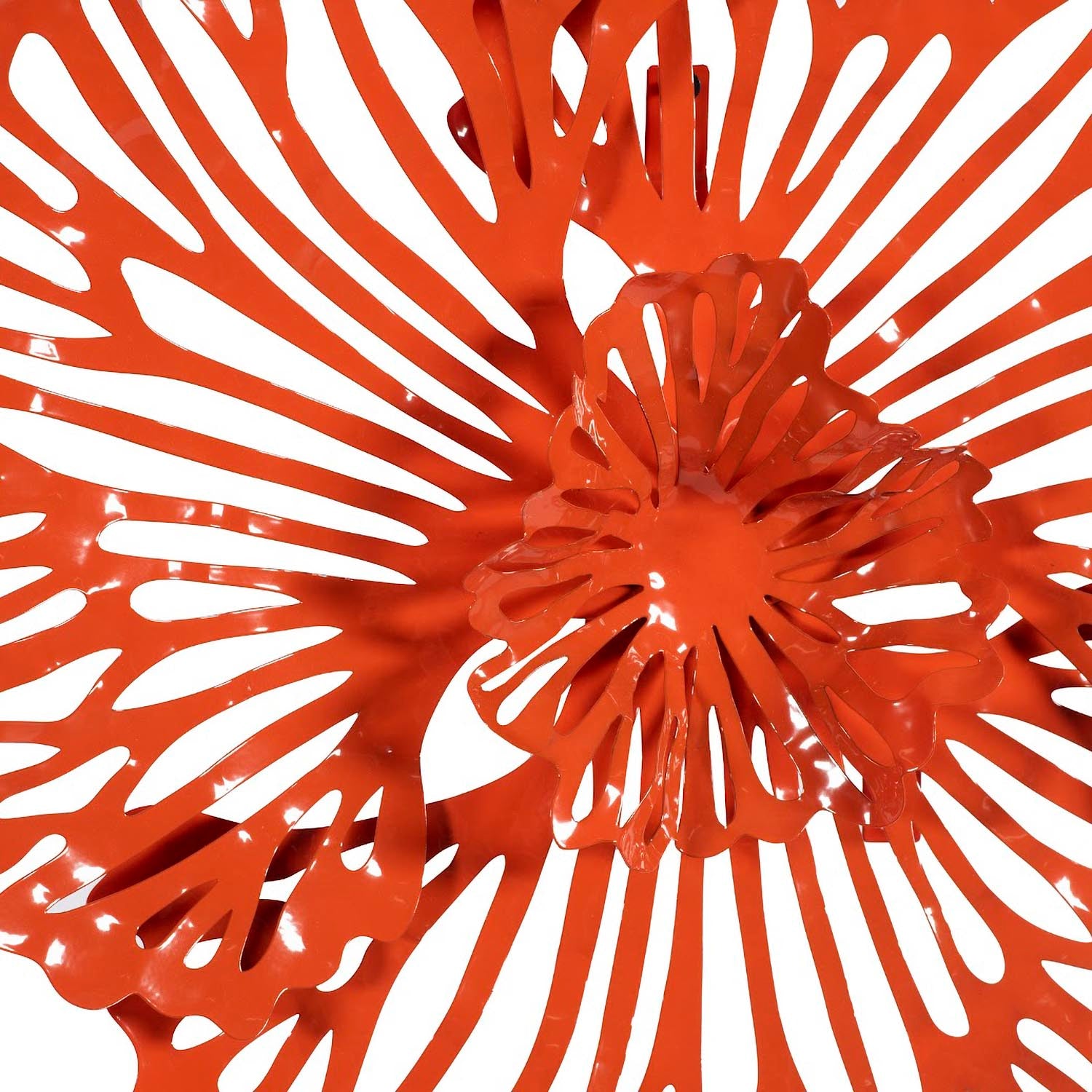 Phillips Collection Flower Wall Art