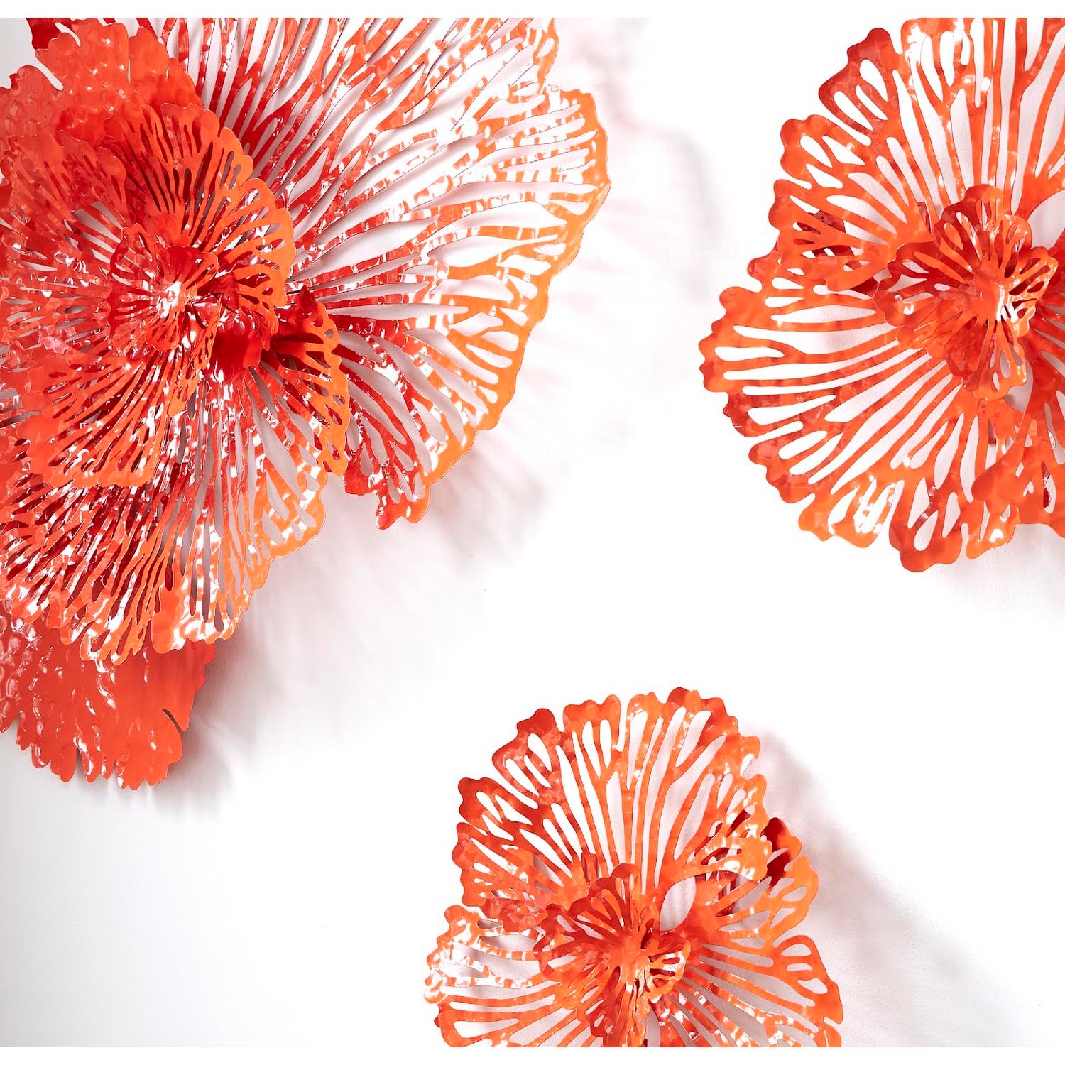 Phillips Collection Flower Wall Art