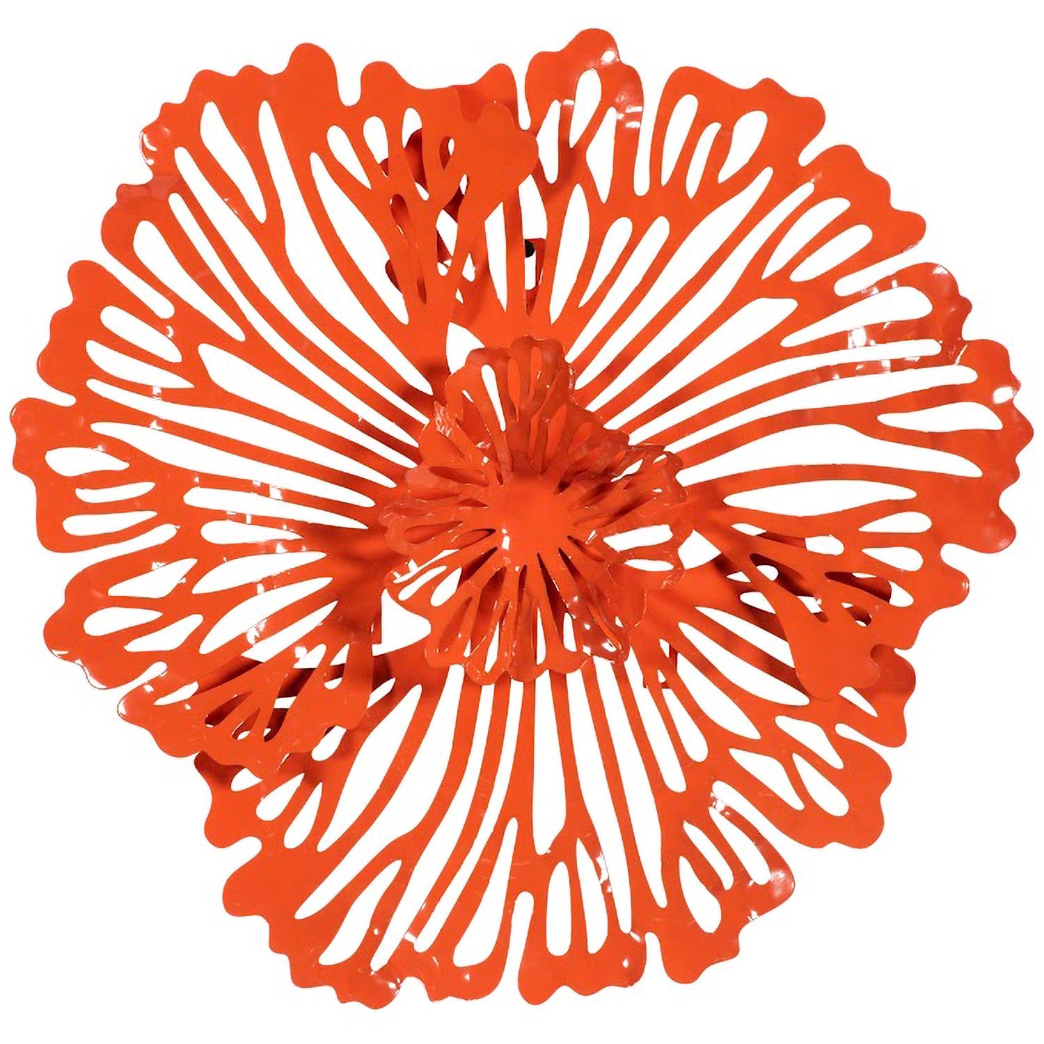 Phillips Collection Flower Wall Art