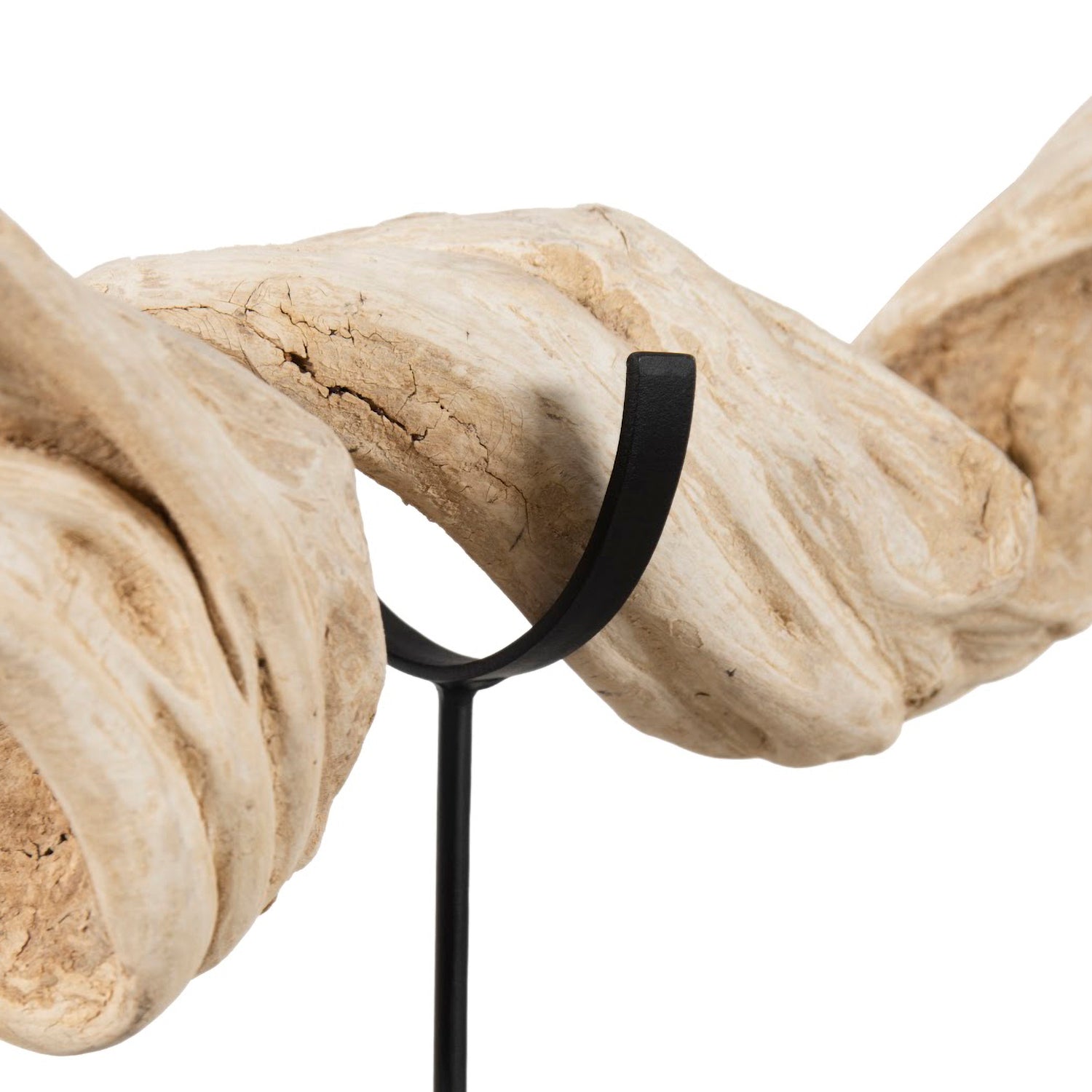 Phillips Collection Vine Sculpture