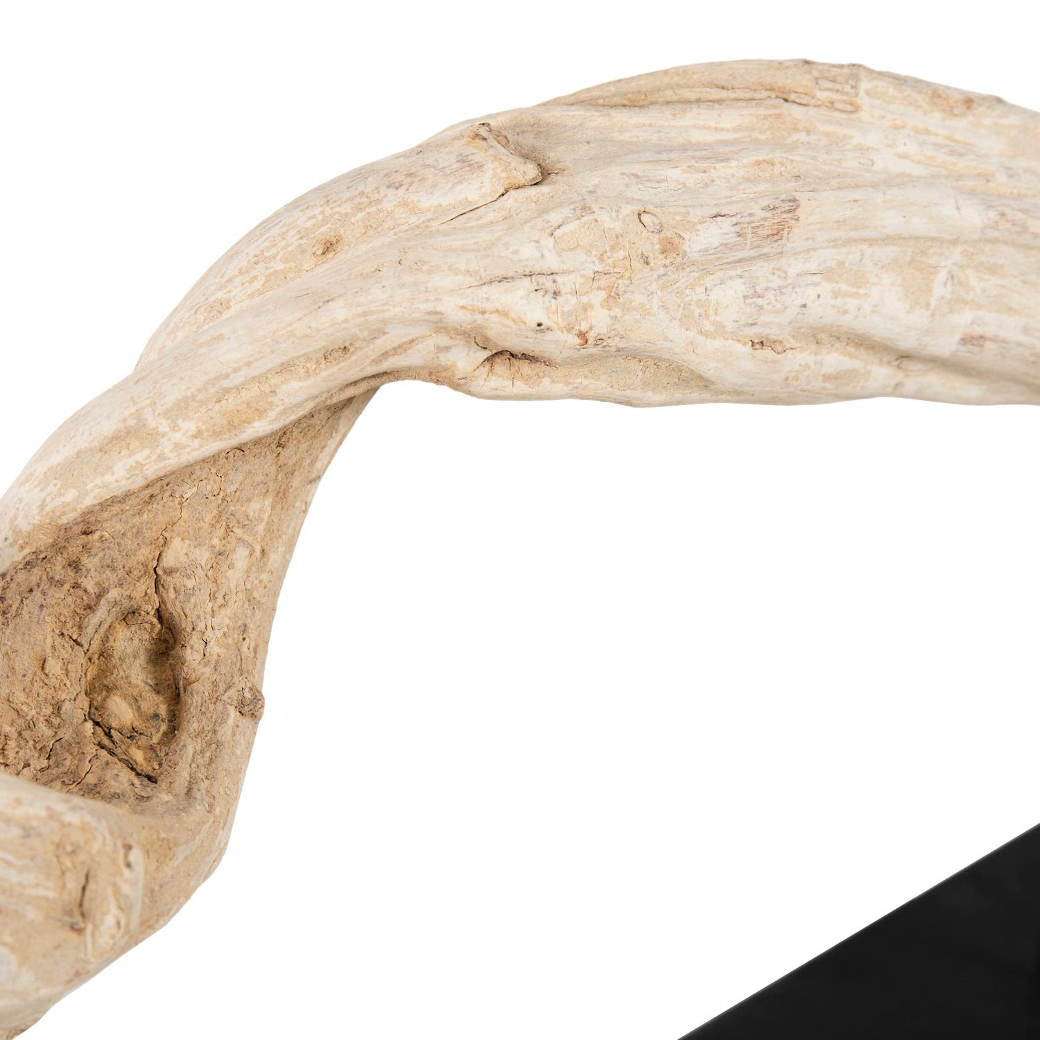 Phillips Collection Vine Sculpture