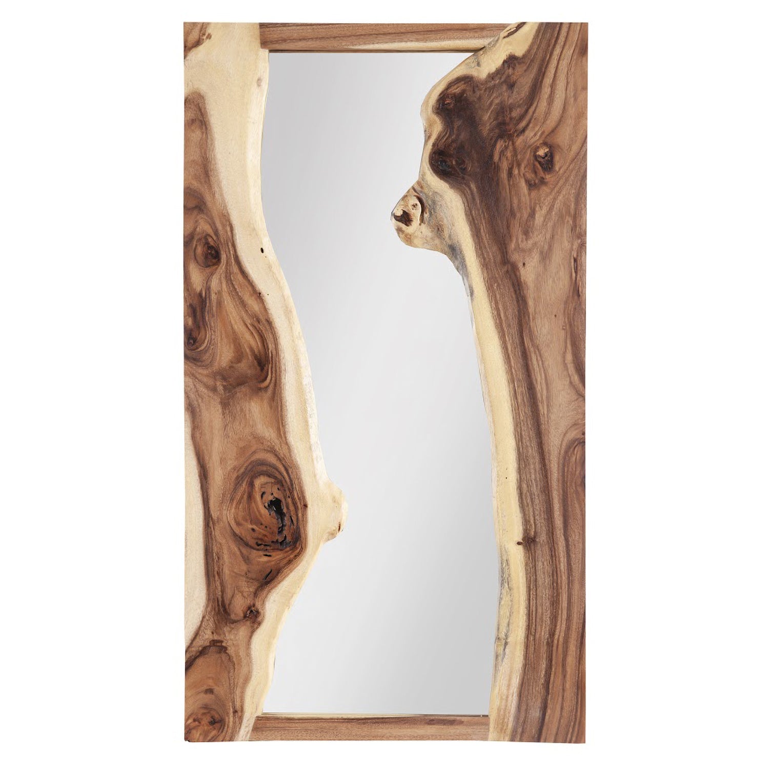 Phillips Collection River Wall Mirror