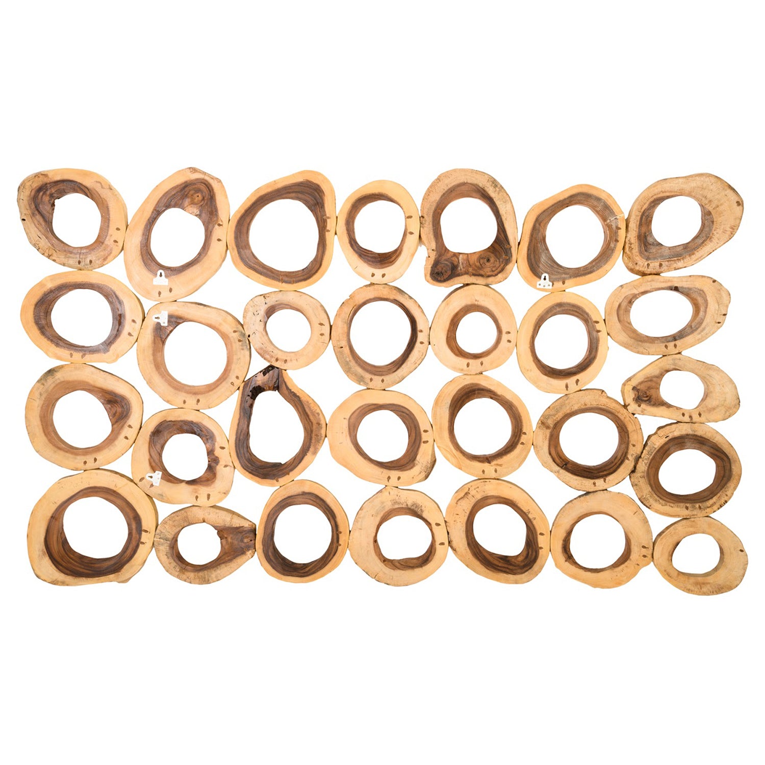 Phillips Collection Chuleta Rings Rectangular Wall Art