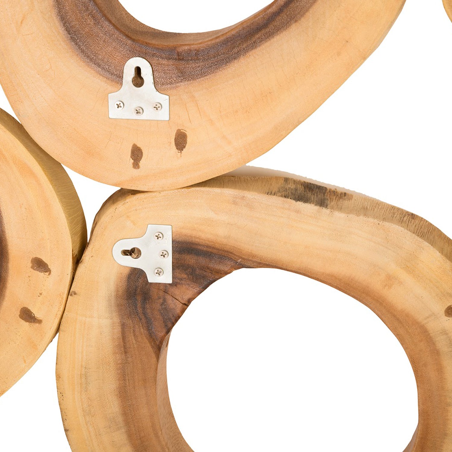 Phillips Collection Chuleta Rings Rectangular Wall Art