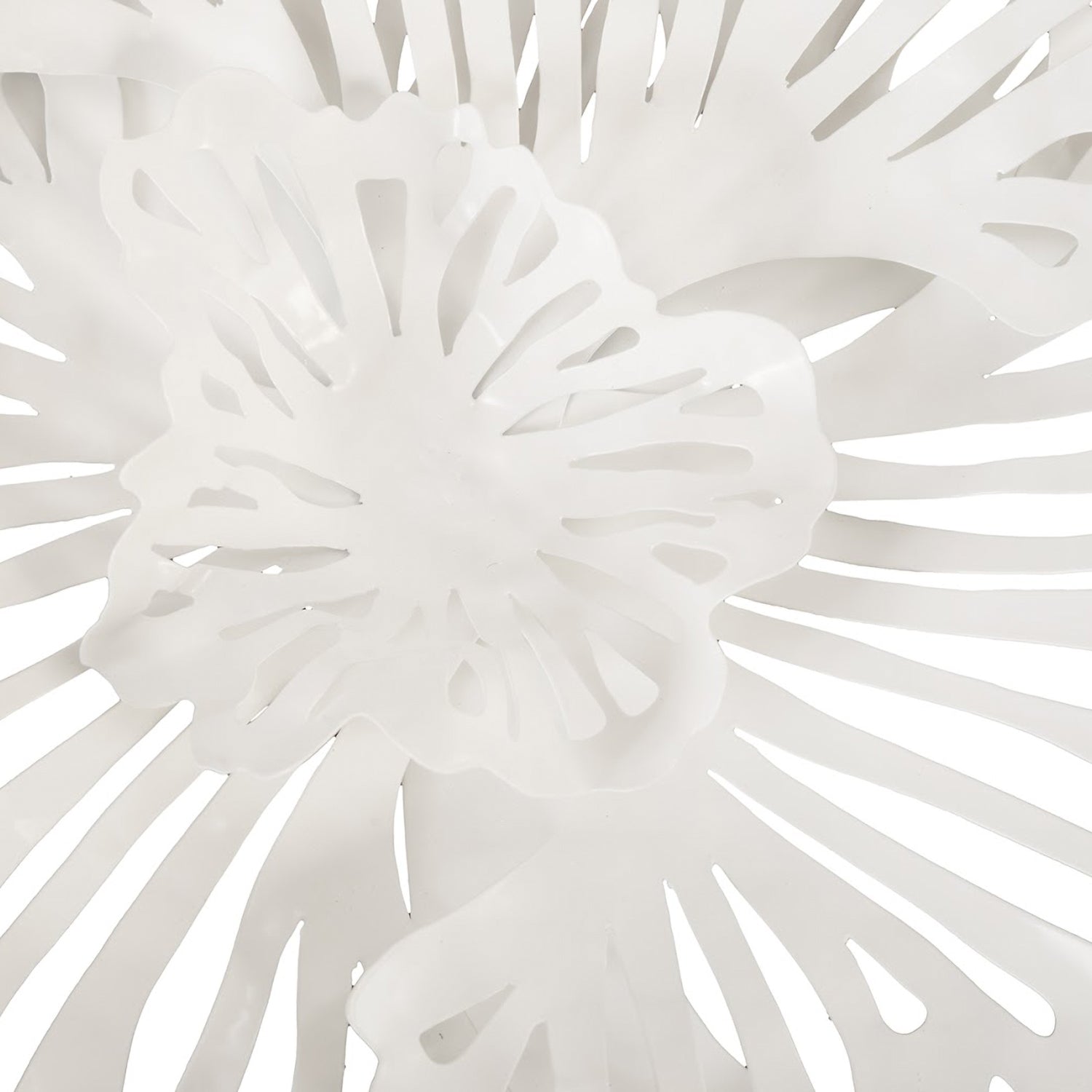 Phillips Collection Flower Wall Art