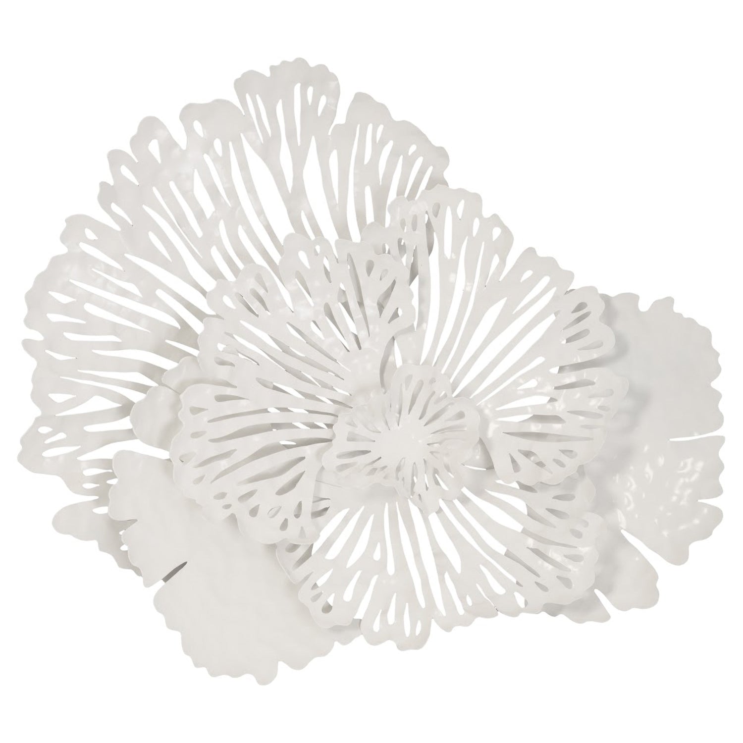 Phillips Collection Flower Wall Art