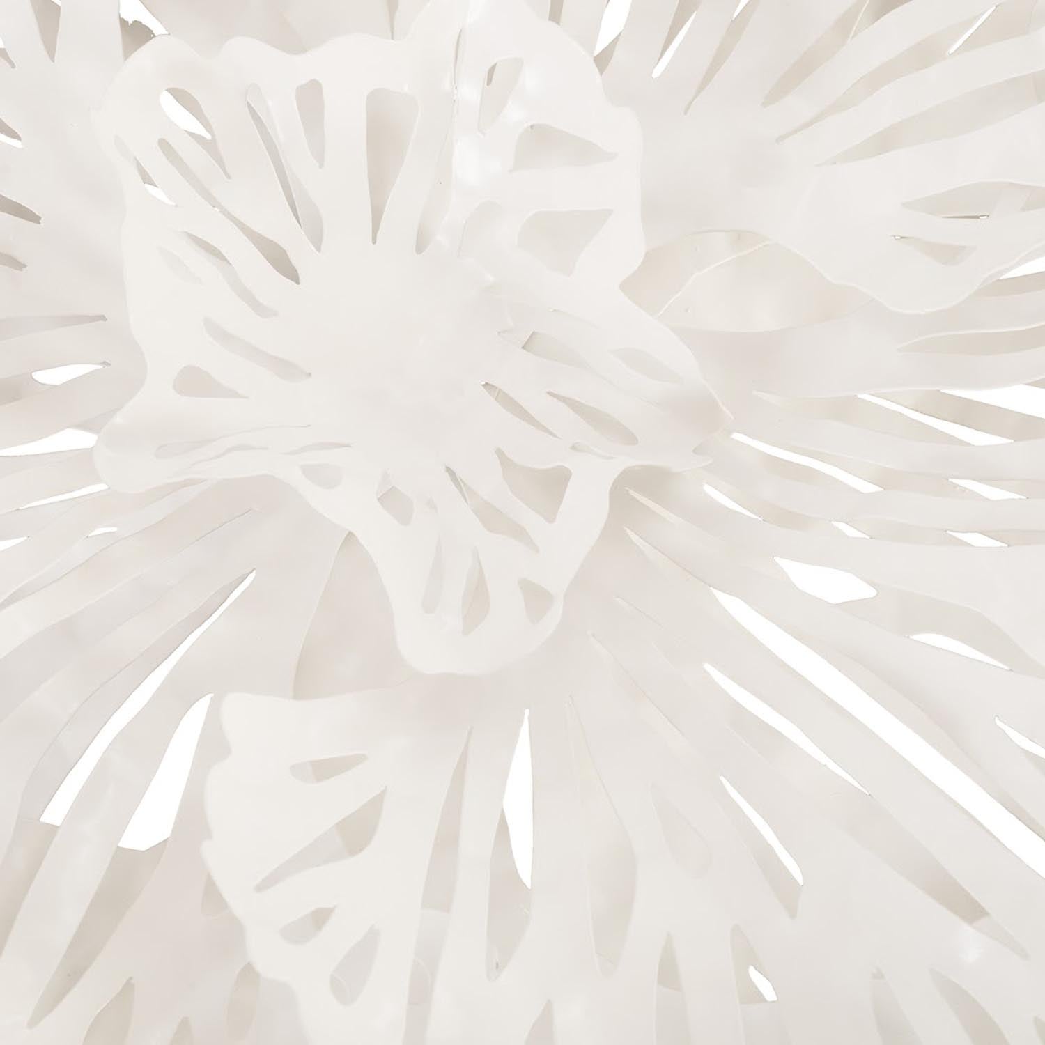 Phillips Collection Flower Wall Art