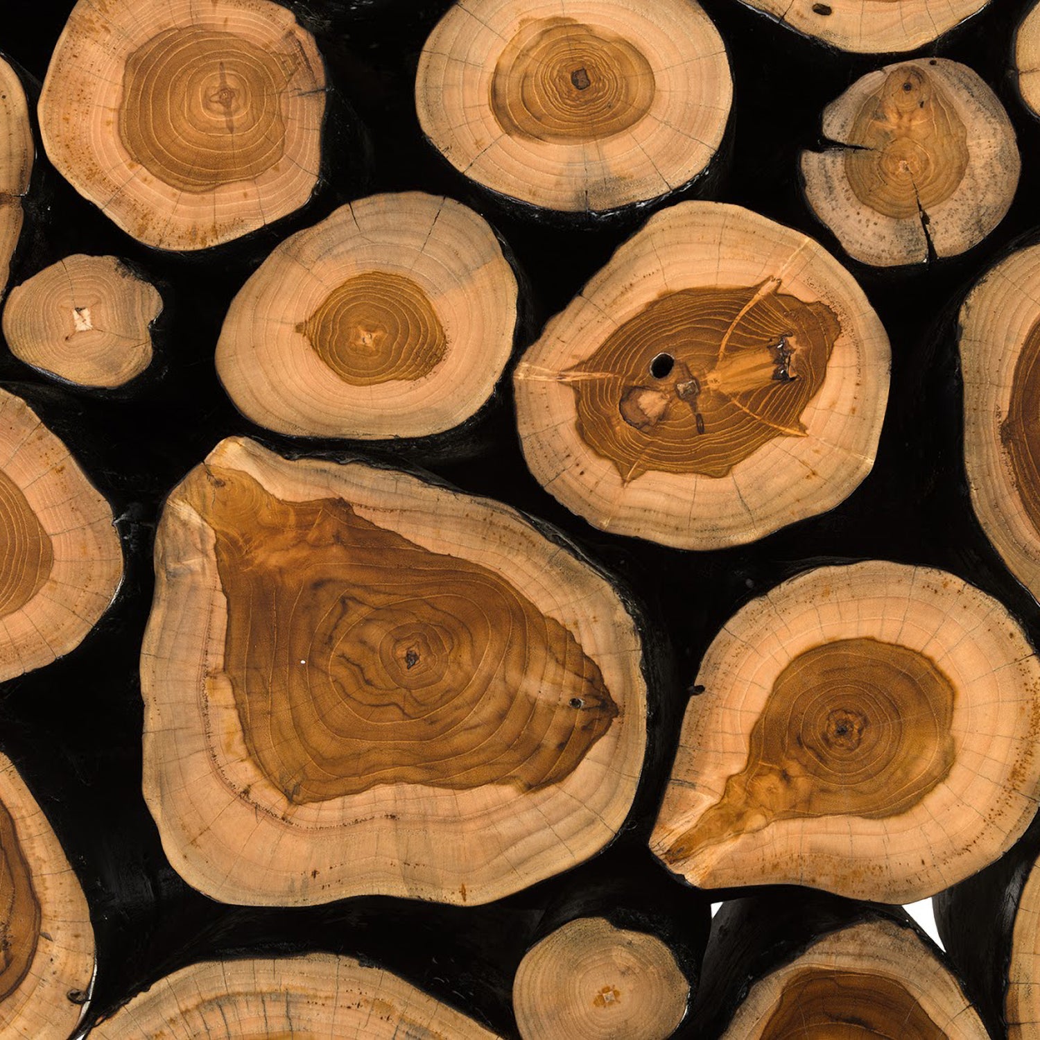 Phillips Collection Boscage Round Coffee Table