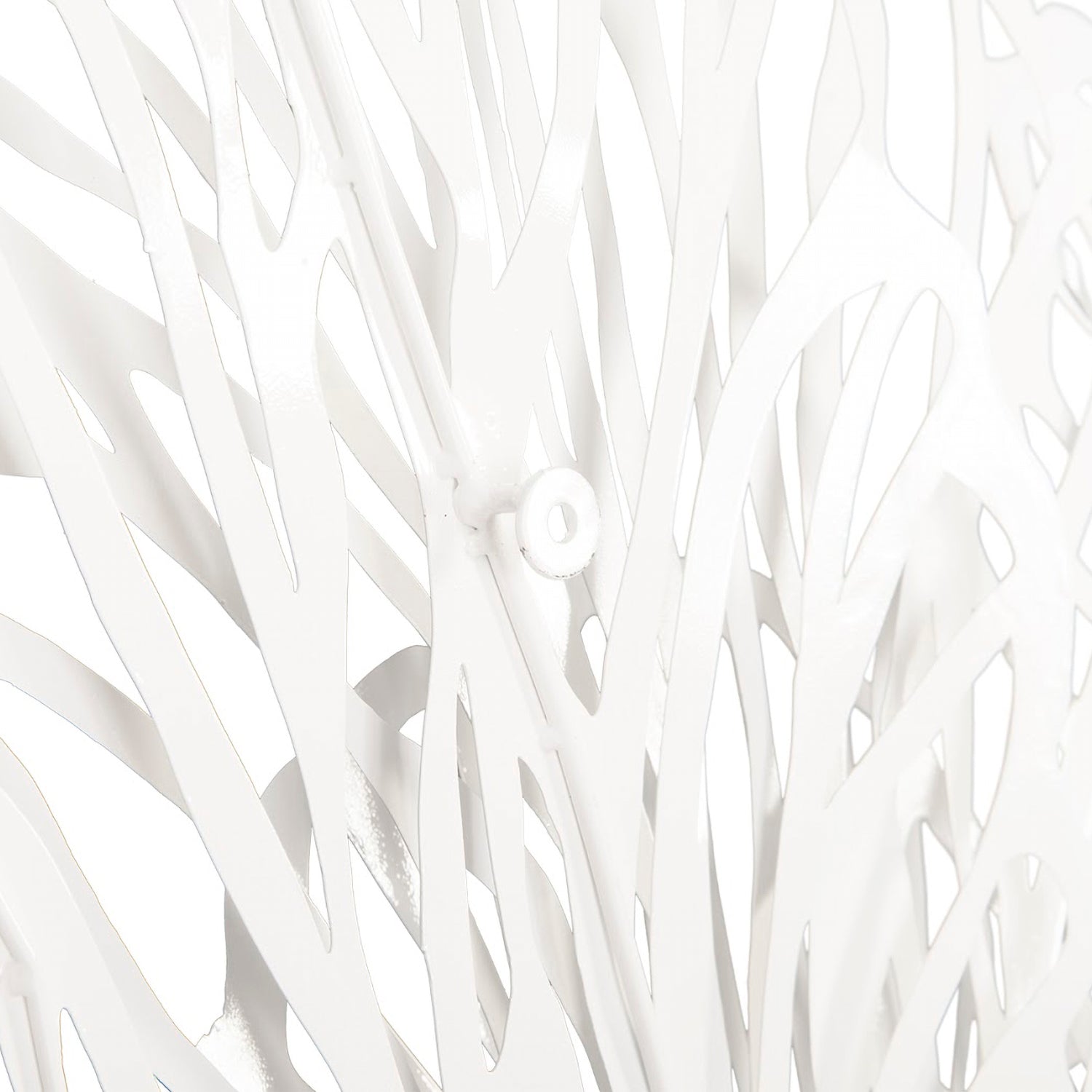 Phillips Collection Butterfly Wall Art