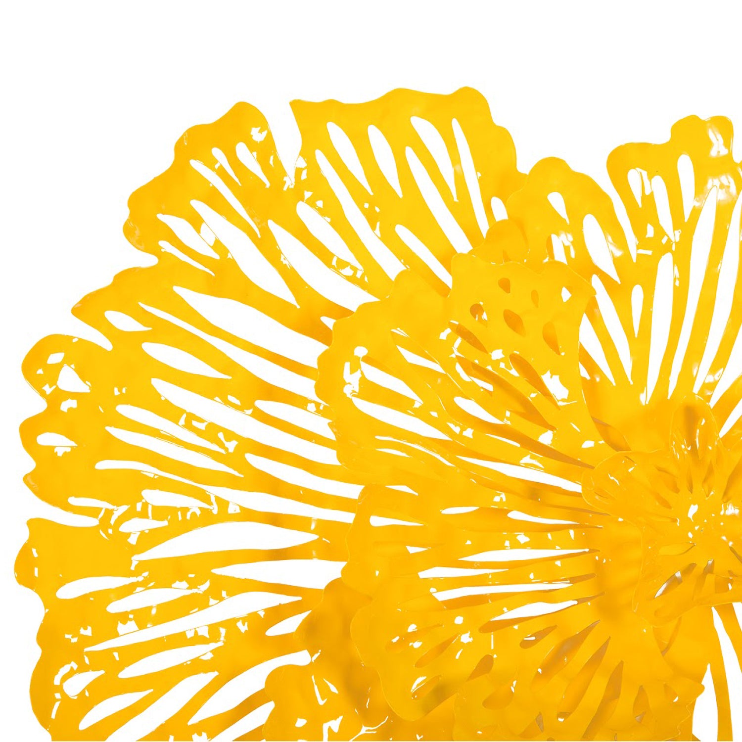 Phillips Collection Flower Wall Art