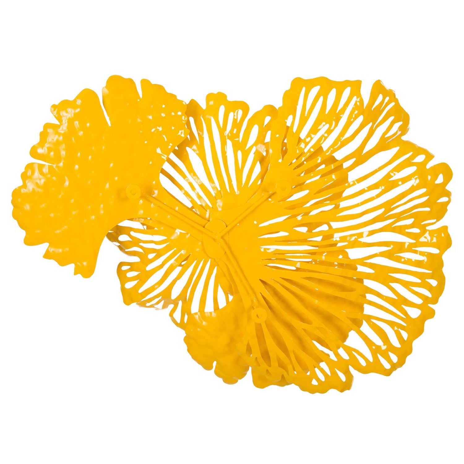 Phillips Collection Flower Wall Art