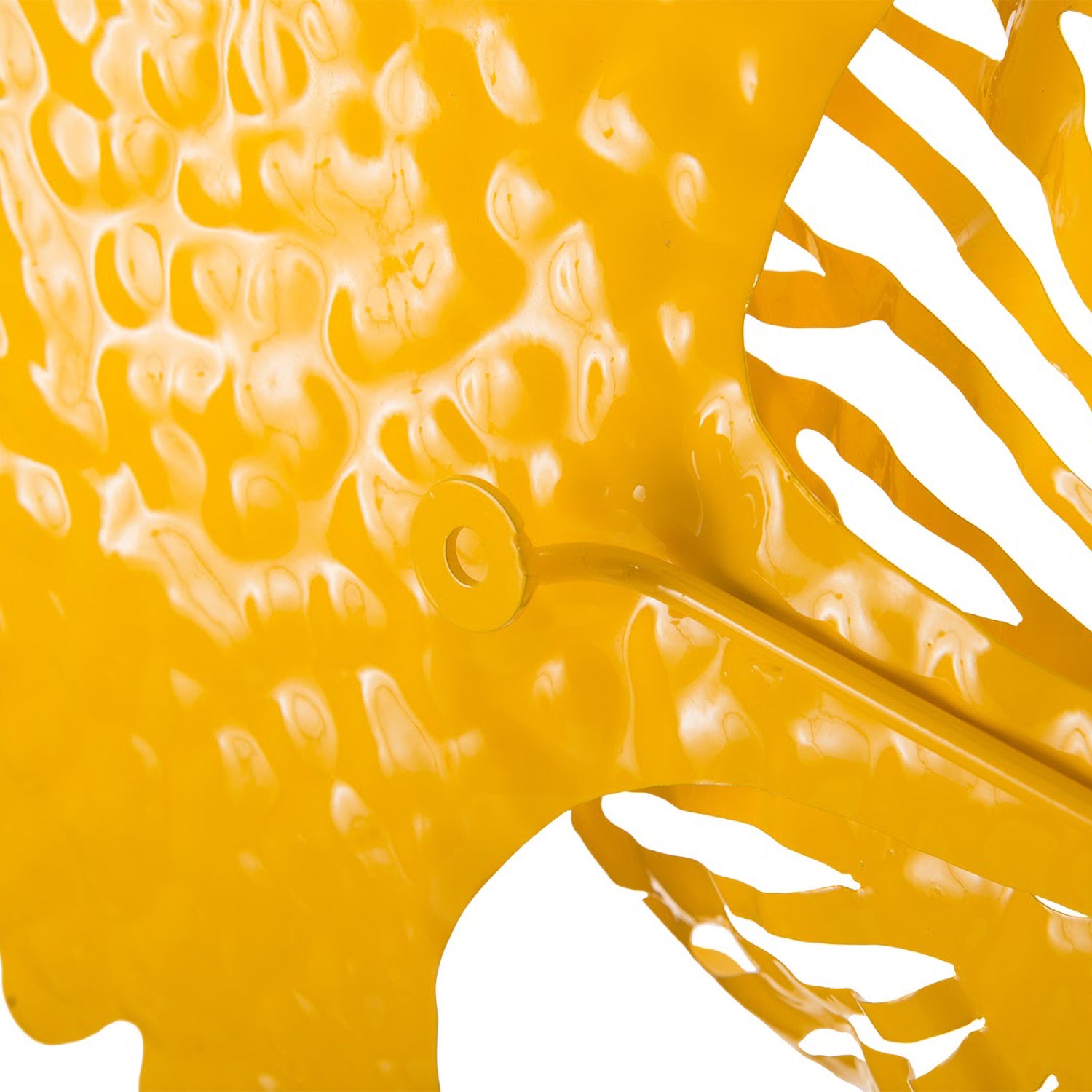 Phillips Collection Flower Wall Art