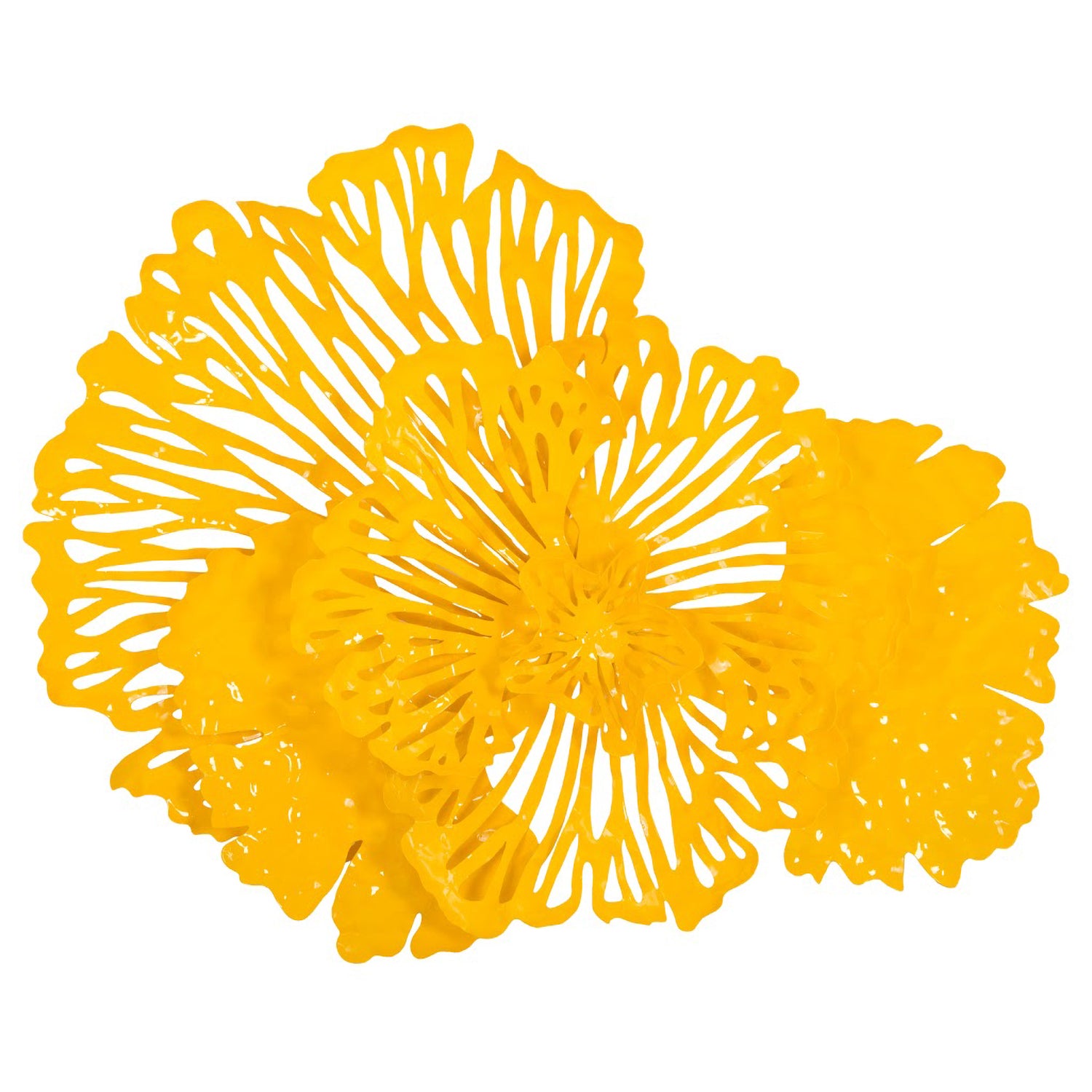 Phillips Collection Flower Wall Art