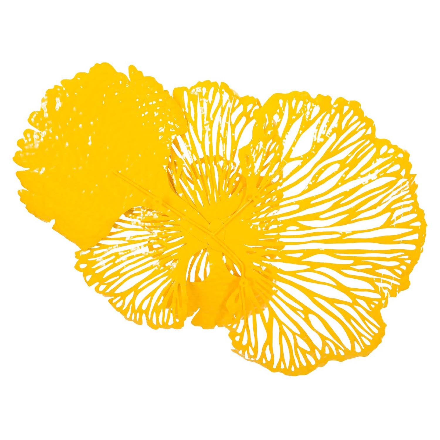 Phillips Collection Flower Wall Art