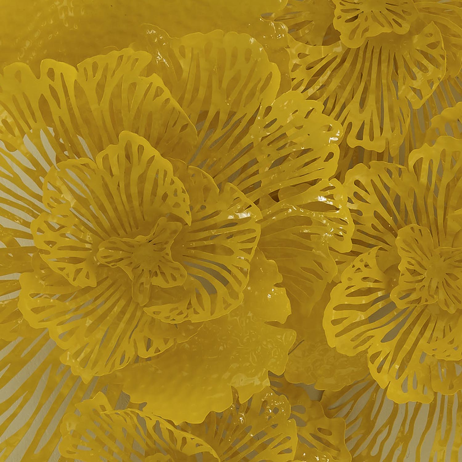 Phillips Collection Flower Wall Art