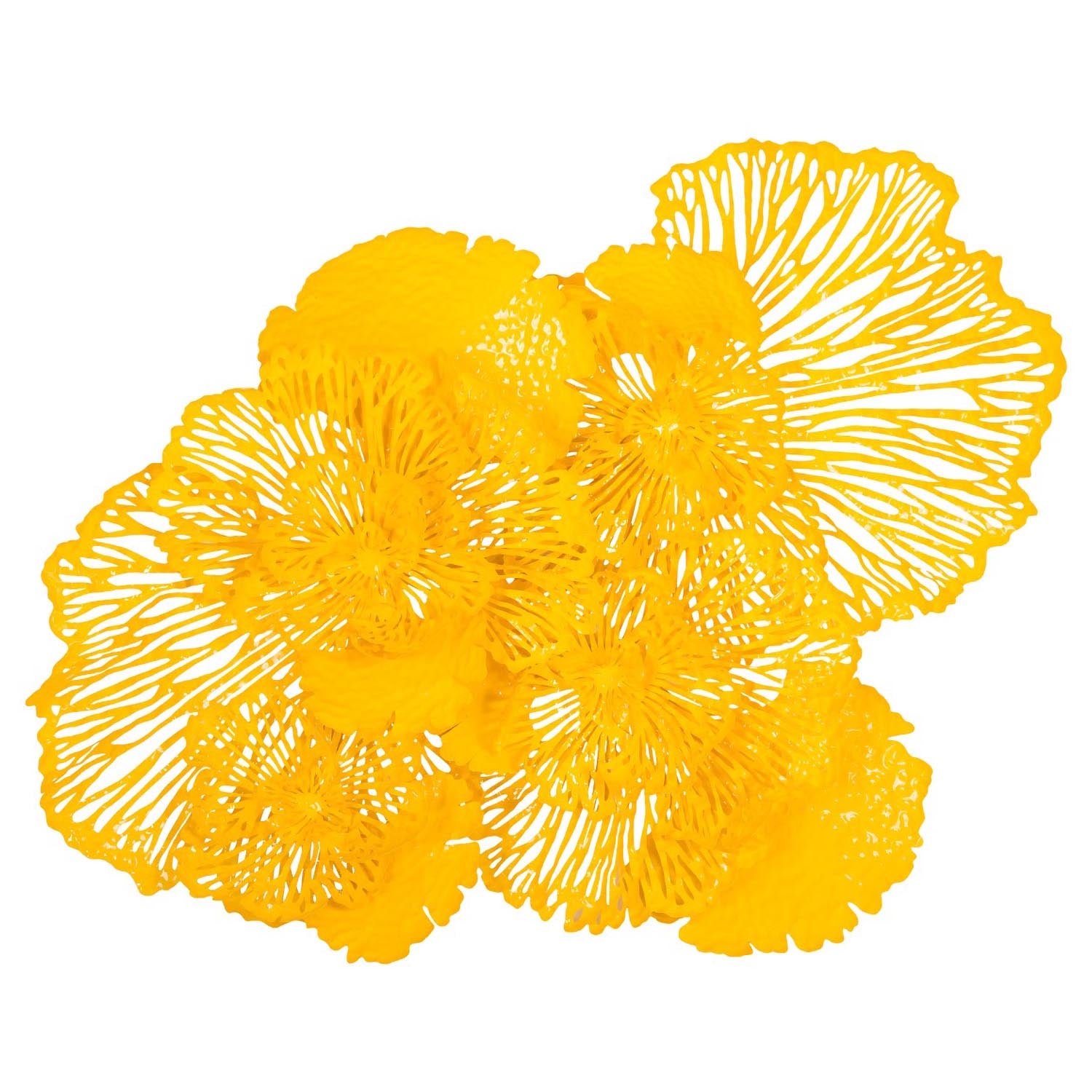 Phillips Collection Flower Wall Art