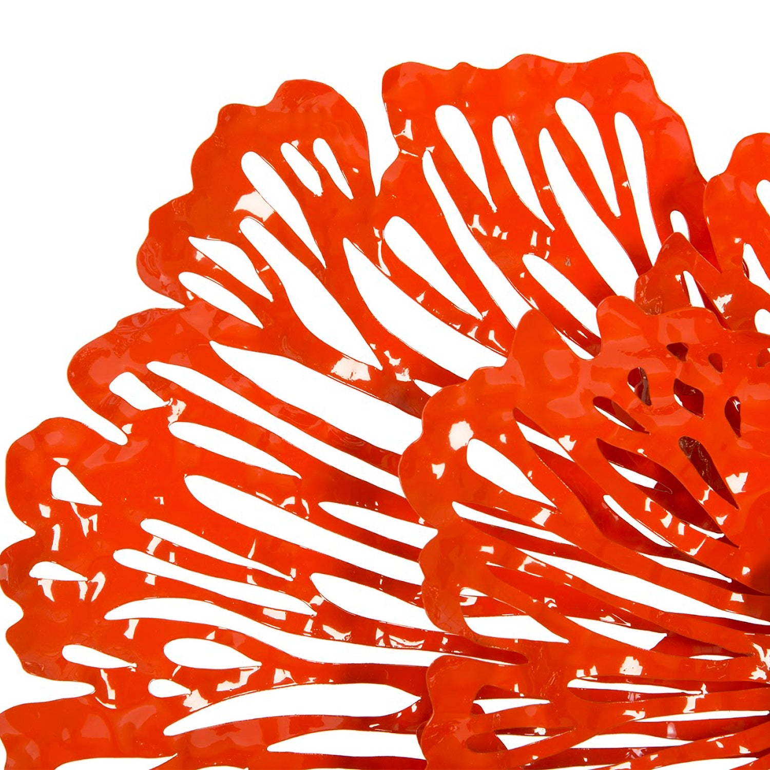 Phillips Collection Flower Wall Art