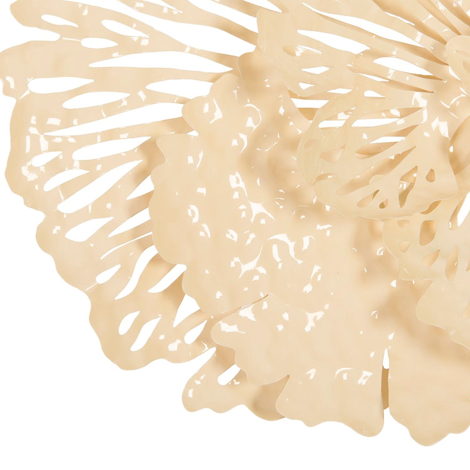 Phillips Collection Flower Wall Art