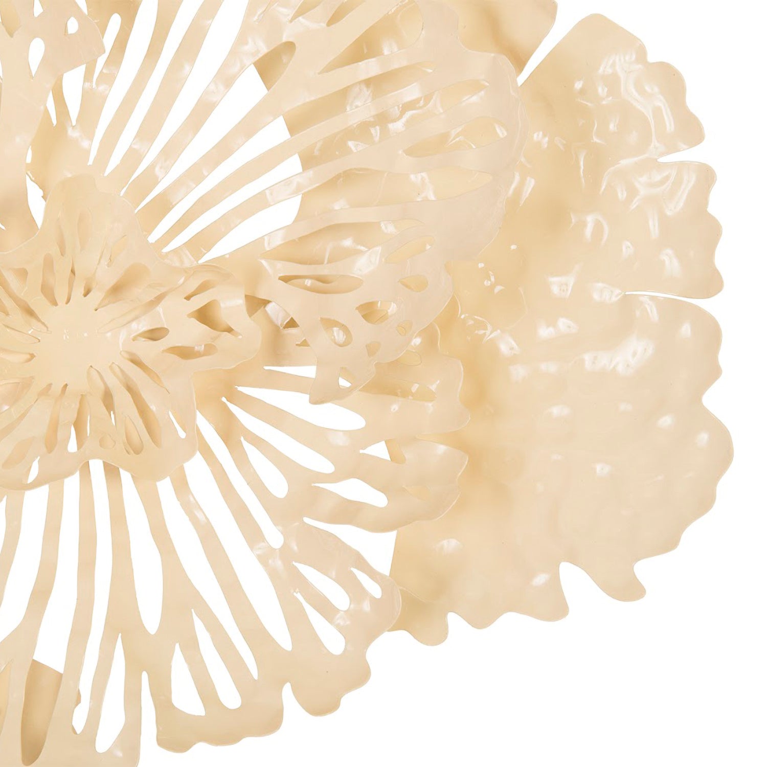 Phillips Collection Flower Wall Art