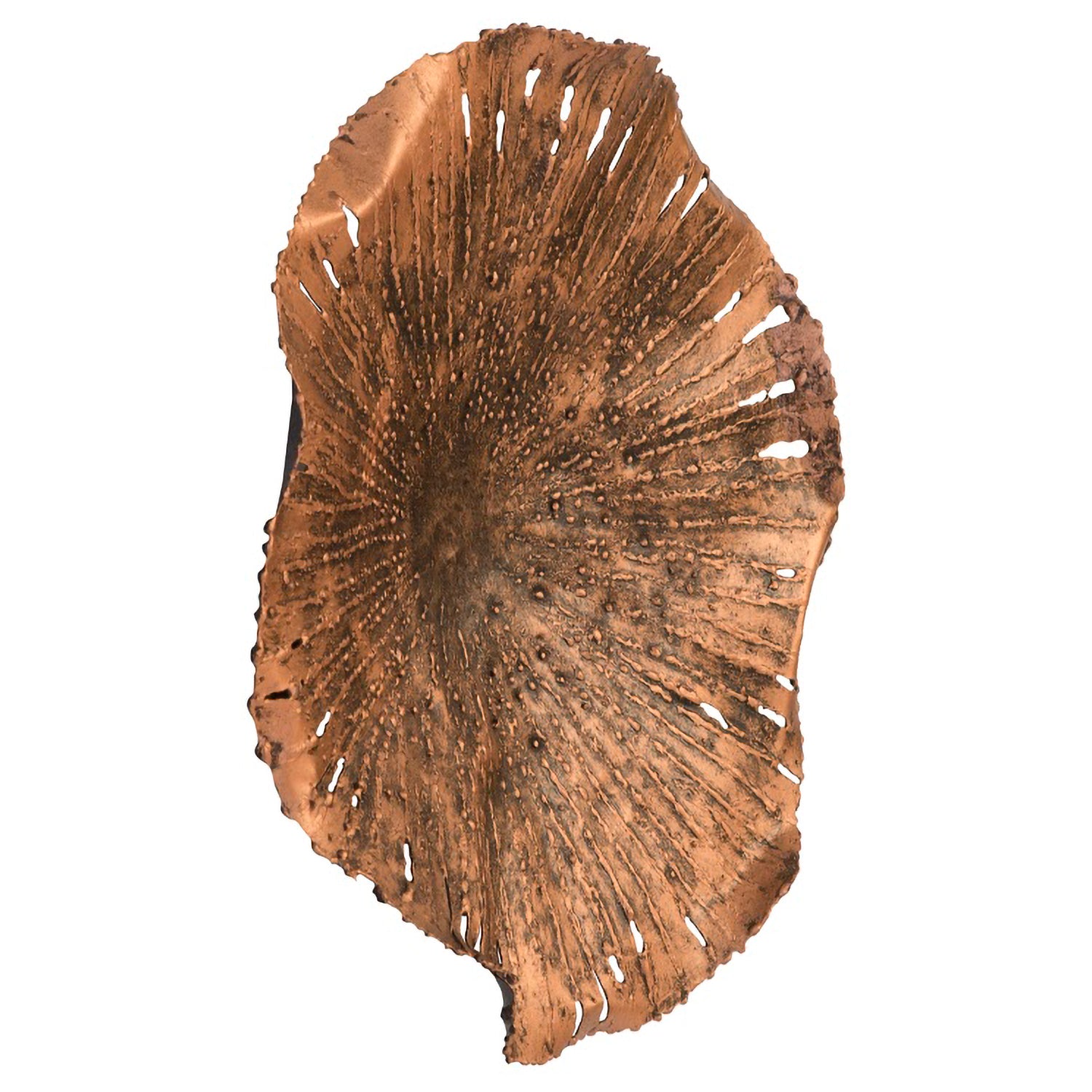 Phillips Collection Lotus Wall Art