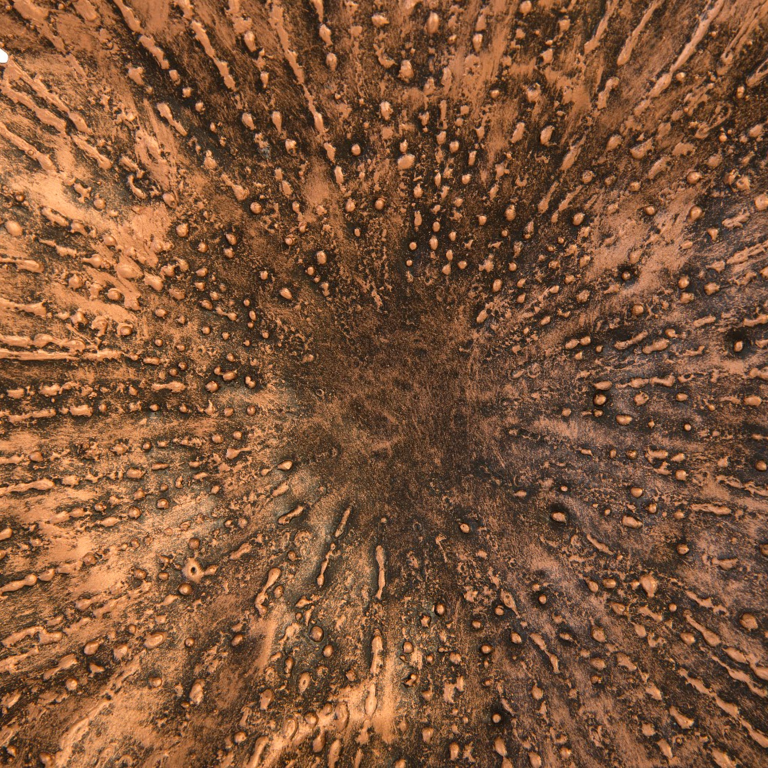 Phillips Collection Lotus Wall Art