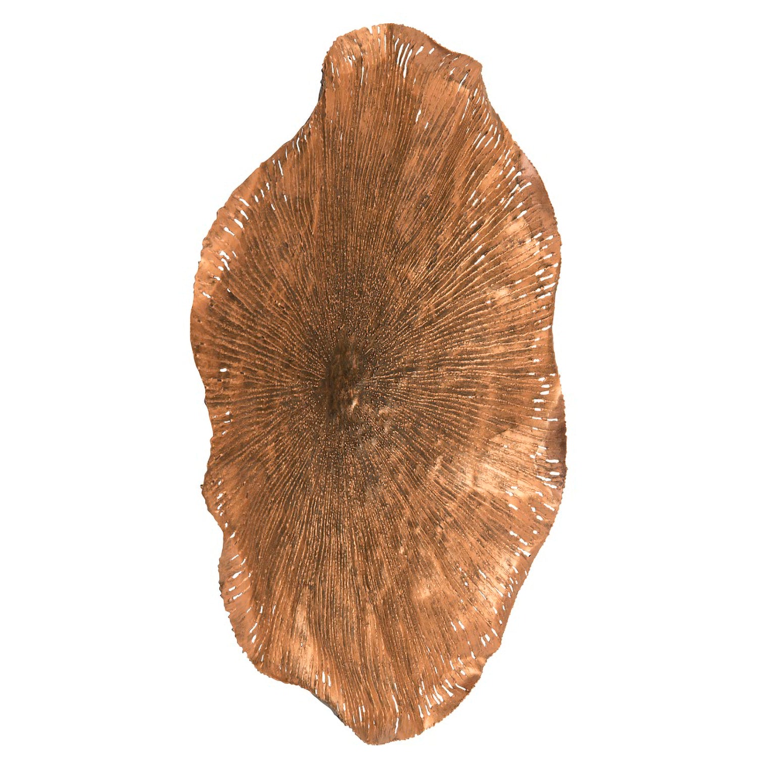 Phillips Collection Lotus Wall Art