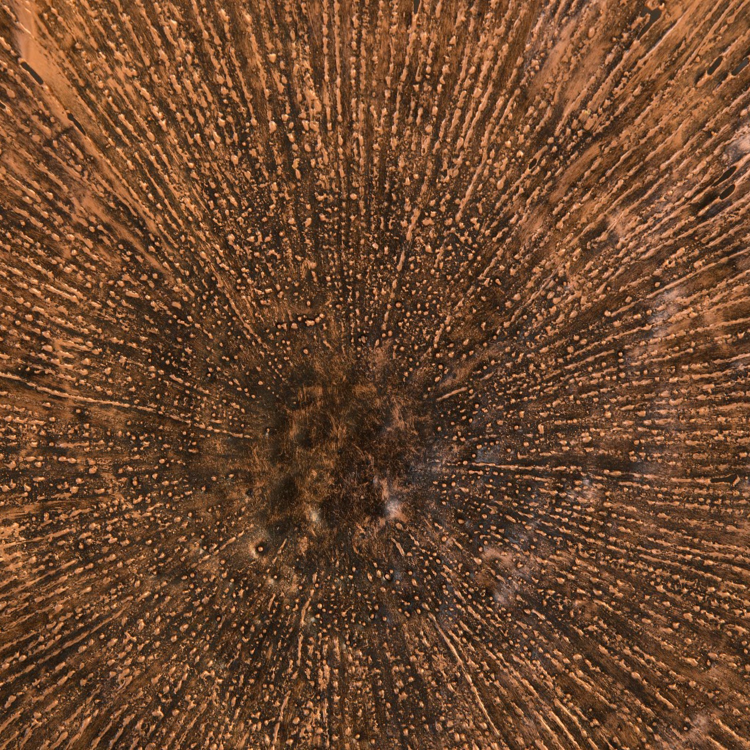 Phillips Collection Lotus Wall Art