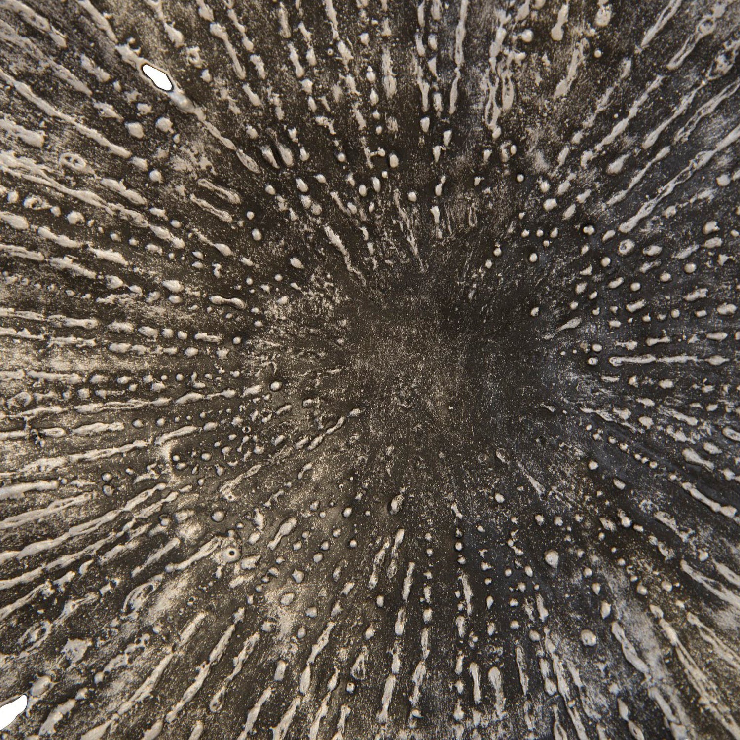 Phillips Collection Lotus Wall Art