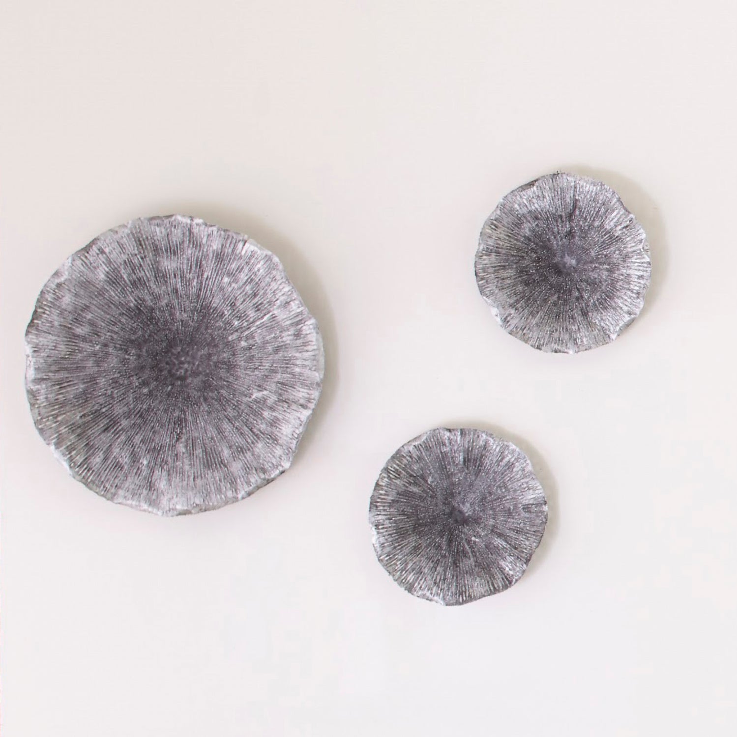 Phillips Collection Lotus Wall Art