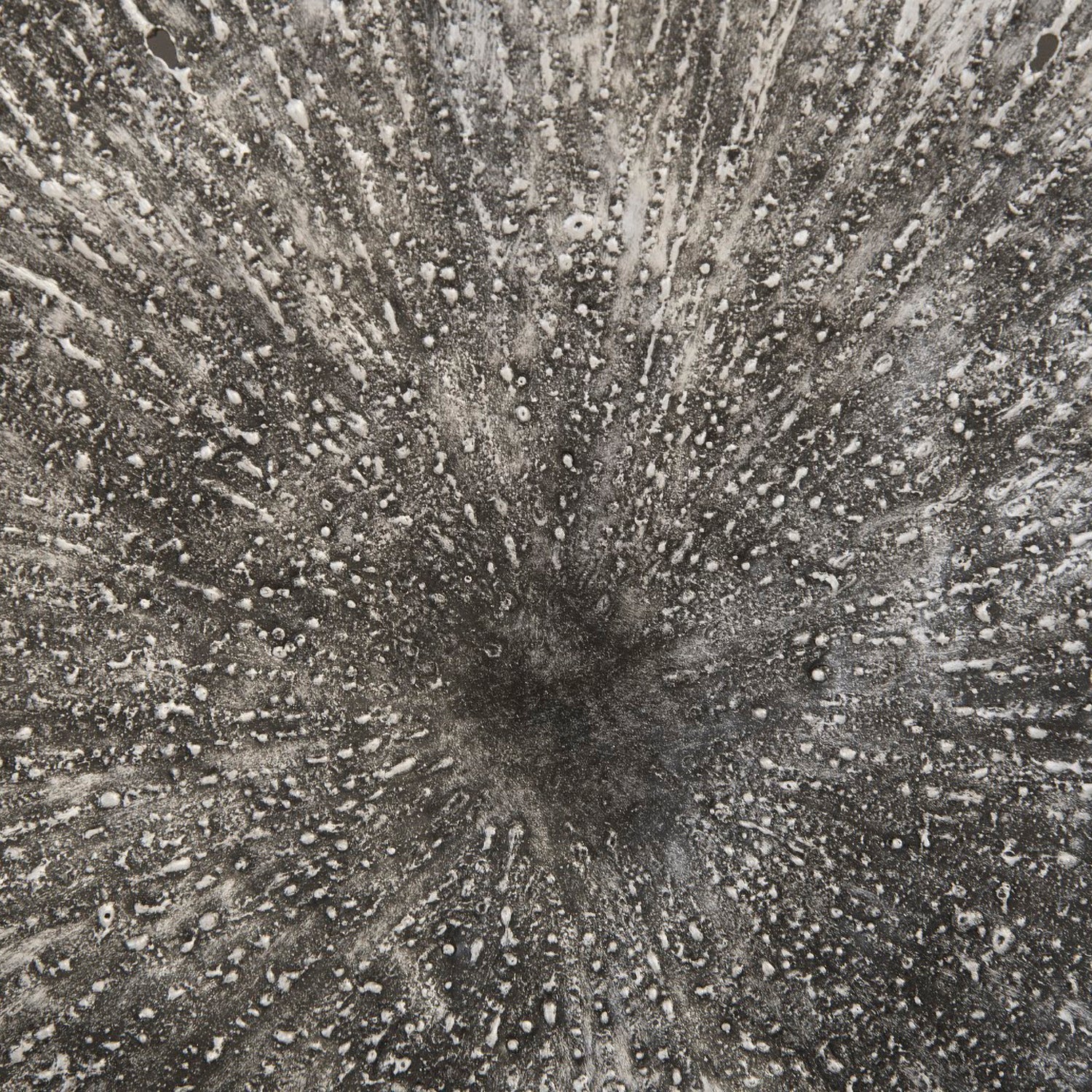 Phillips Collection Lotus Wall Art