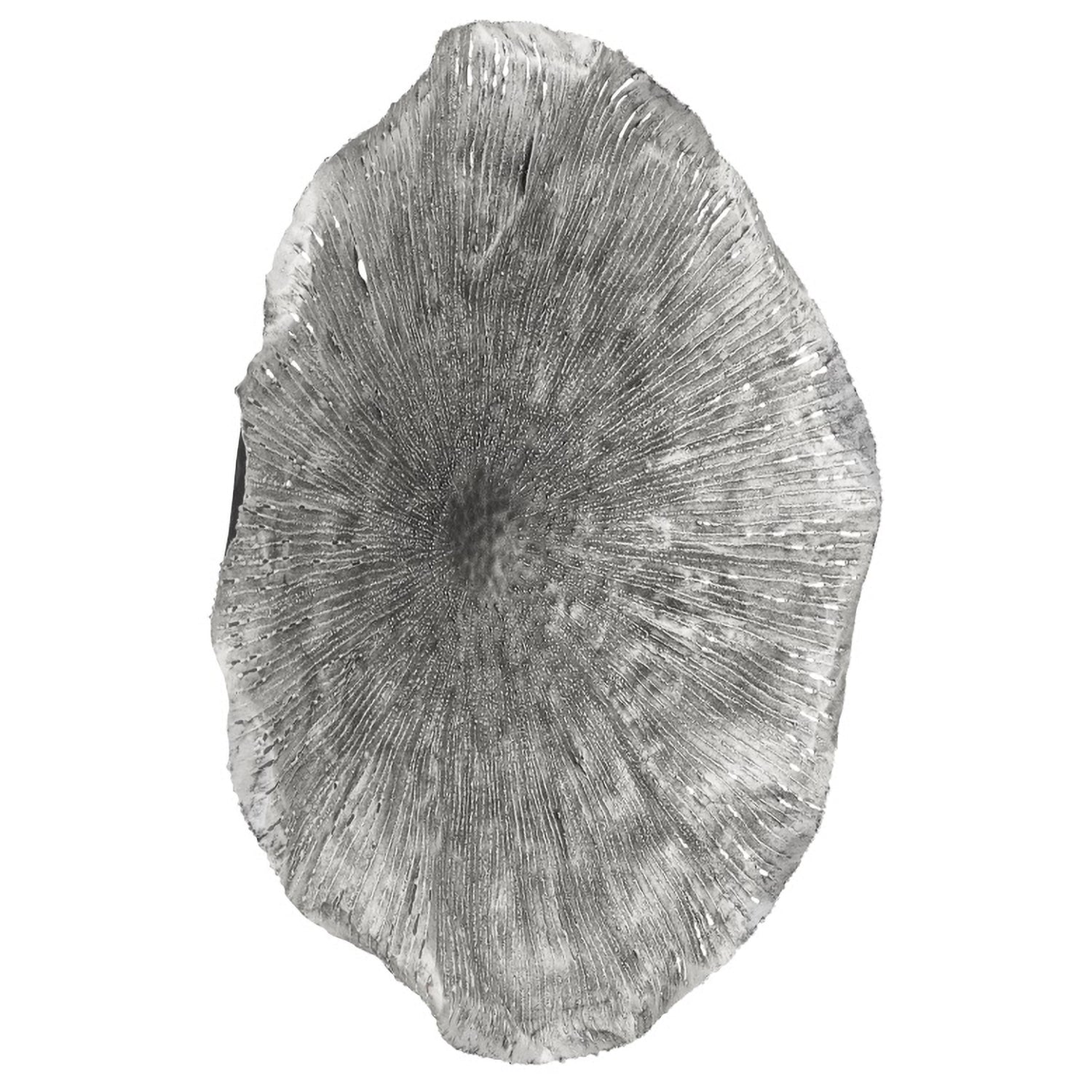 Phillips Collection Lotus Wall Art