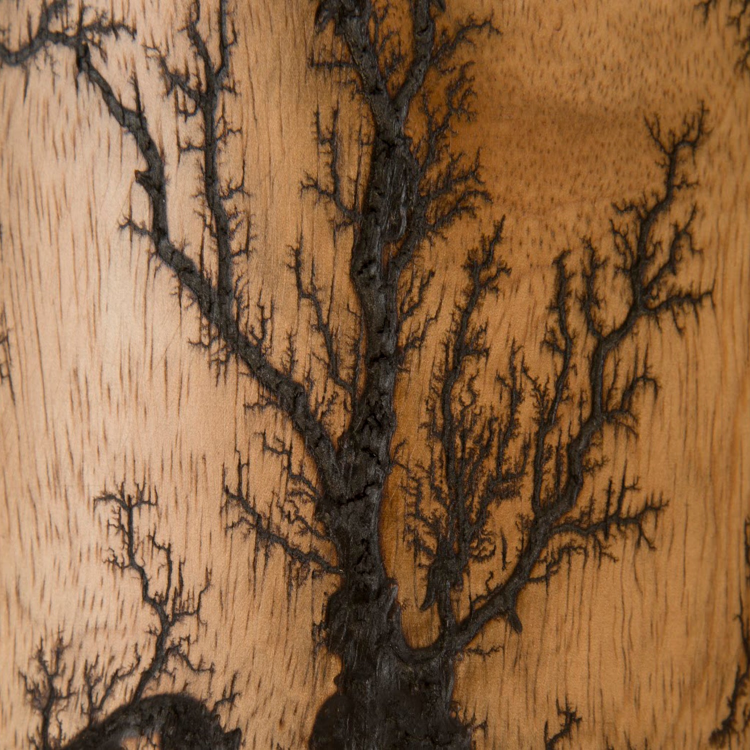 Phillips Collection Lightning Urn