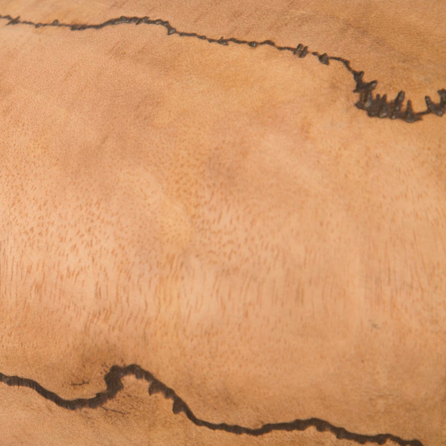 Phillips Collection Lightning Vase