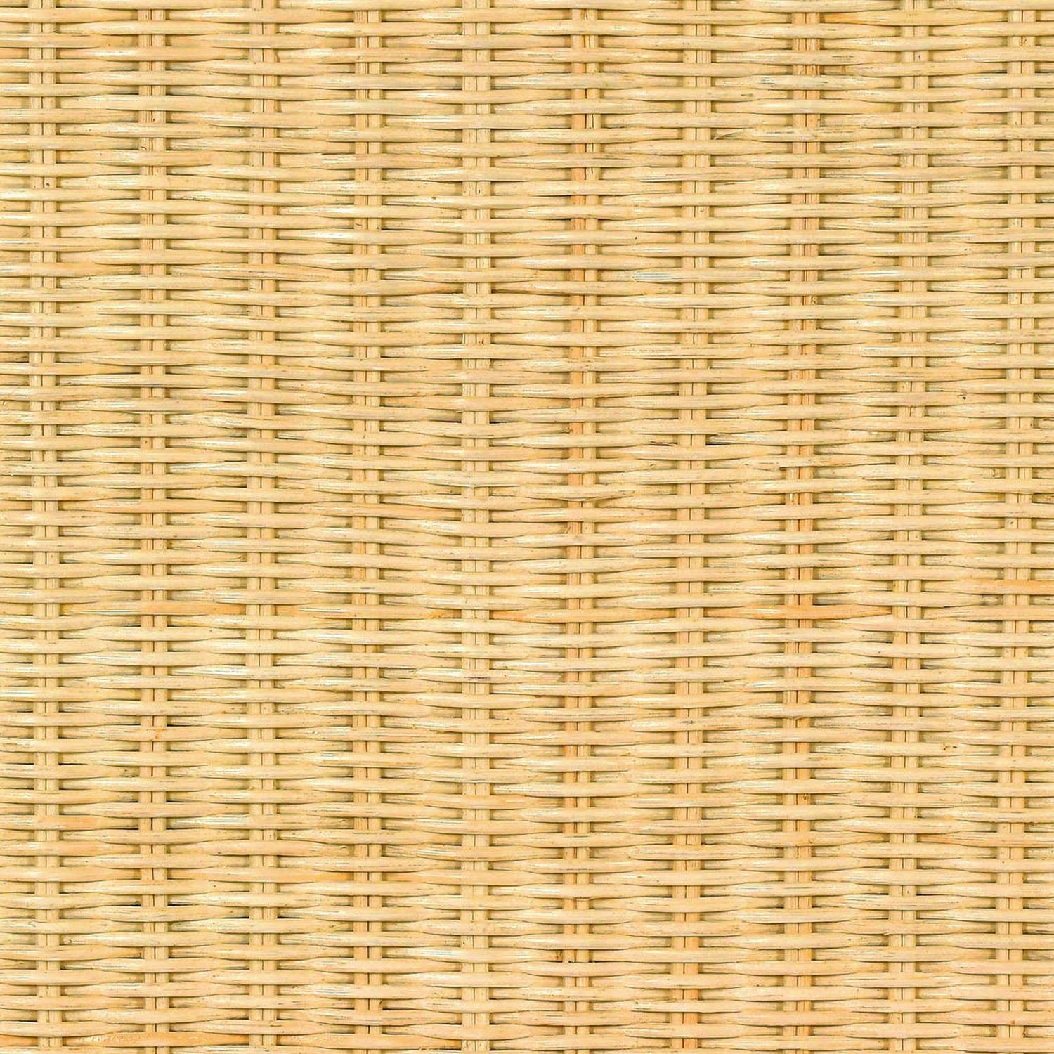 TOV Furniture Pentra Natural Rattan Nightstand With Drawer