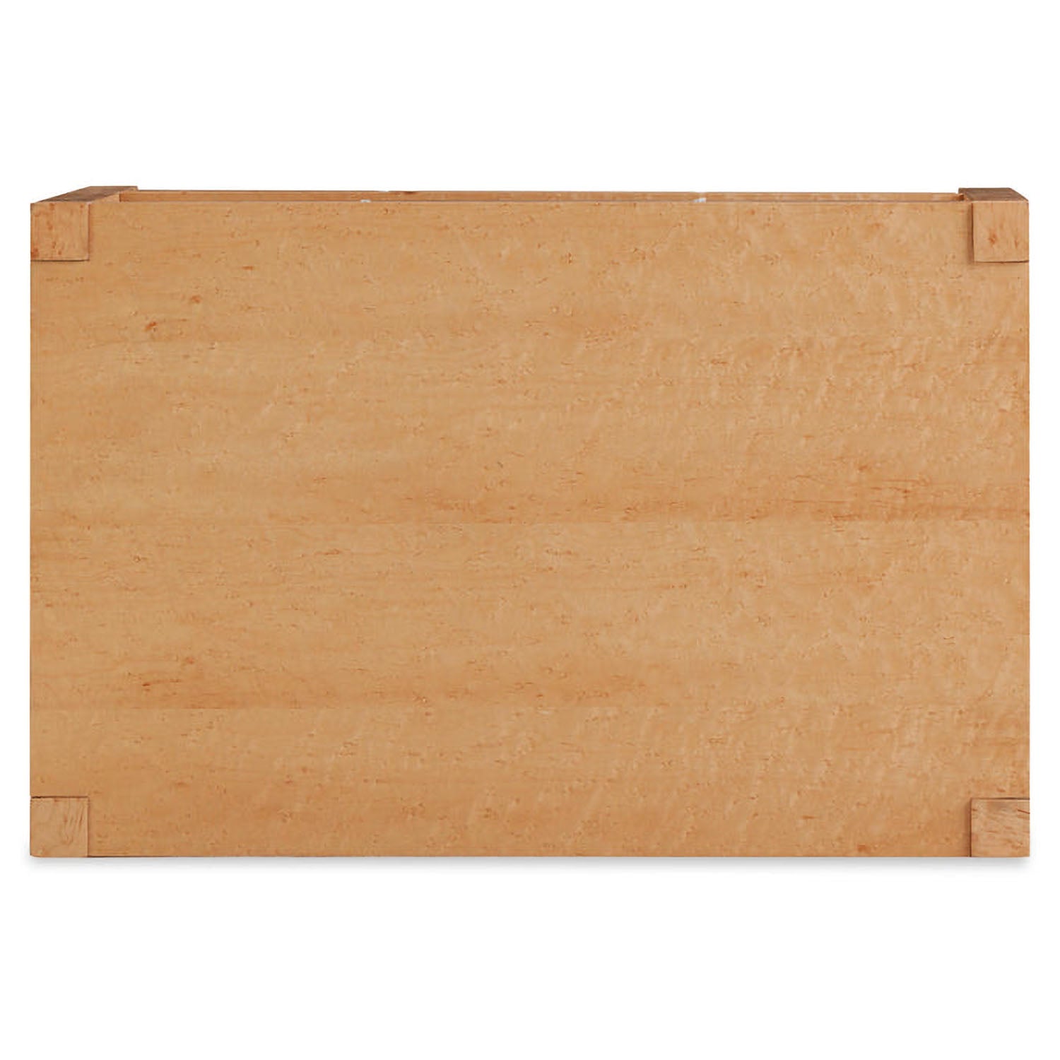 TOV Furniture Brandyss Birdseye Maple 2-Drawer Nightstand