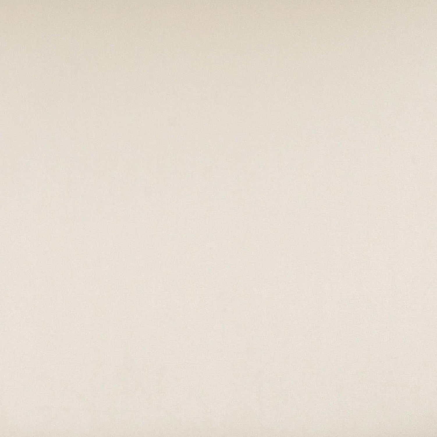 TOV Furniture Calla Performance Velvet Dining Chair