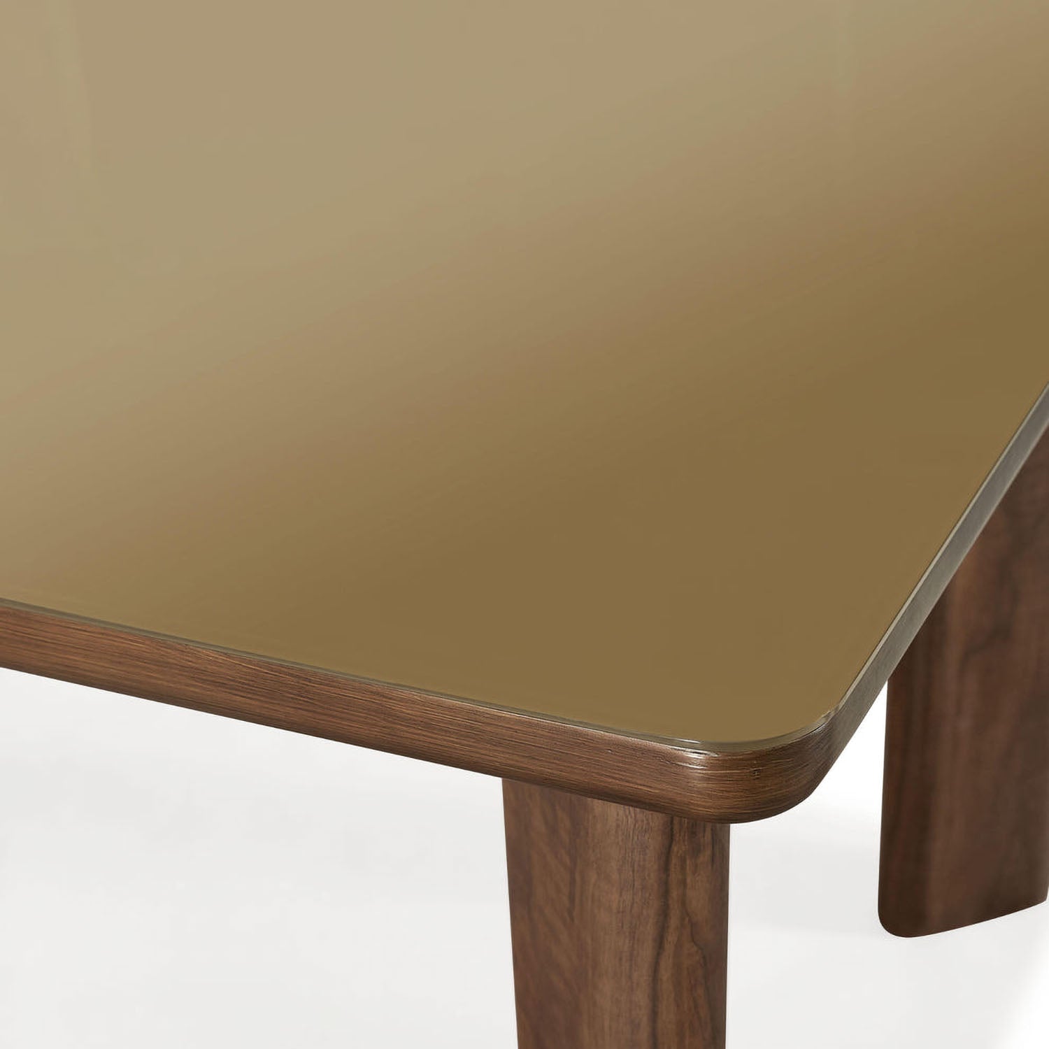 TOV Furniture Oani Walnut and Glass Rectangular Dining Table